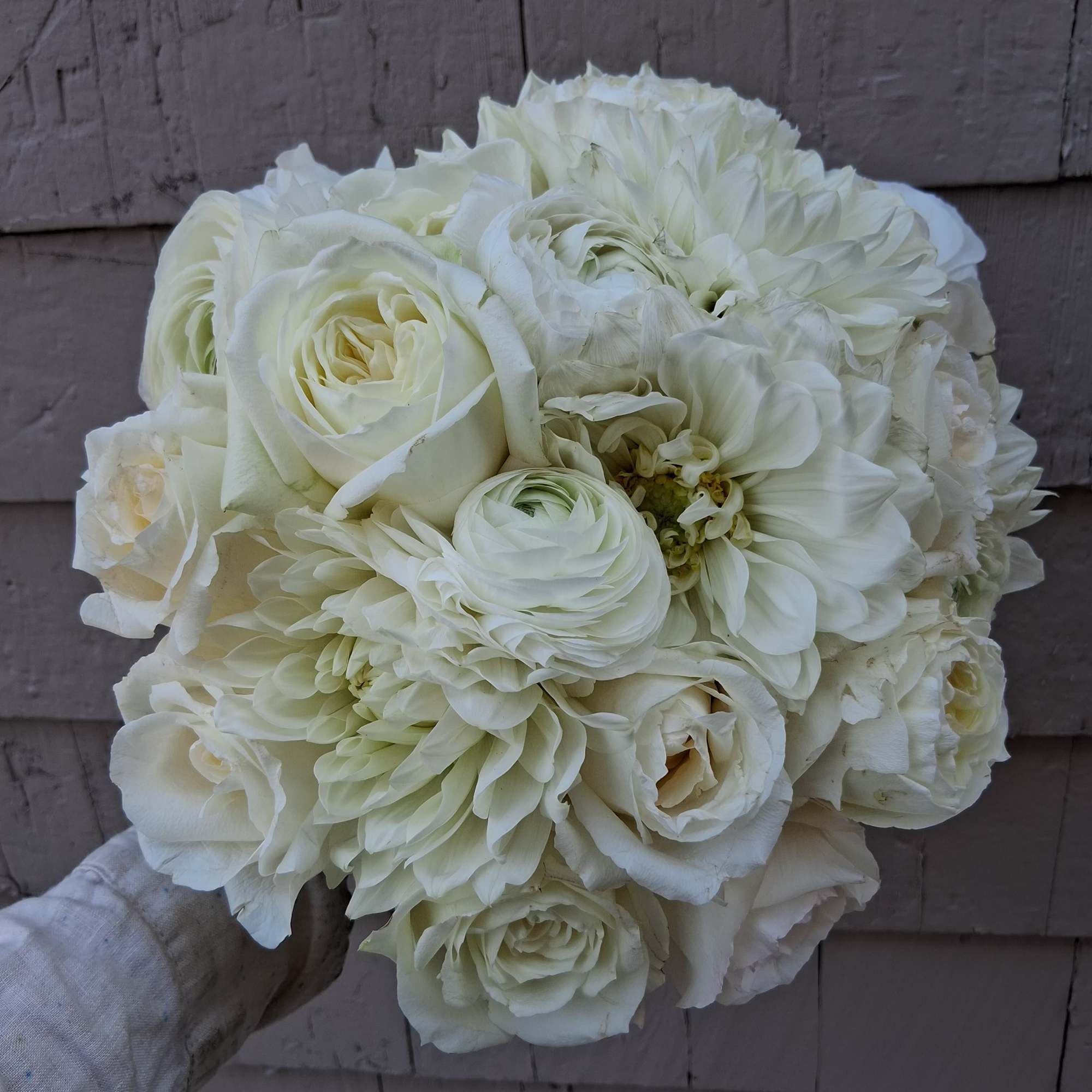 Gorgeous pure white classical round bridal bouquet of standard and garden roses