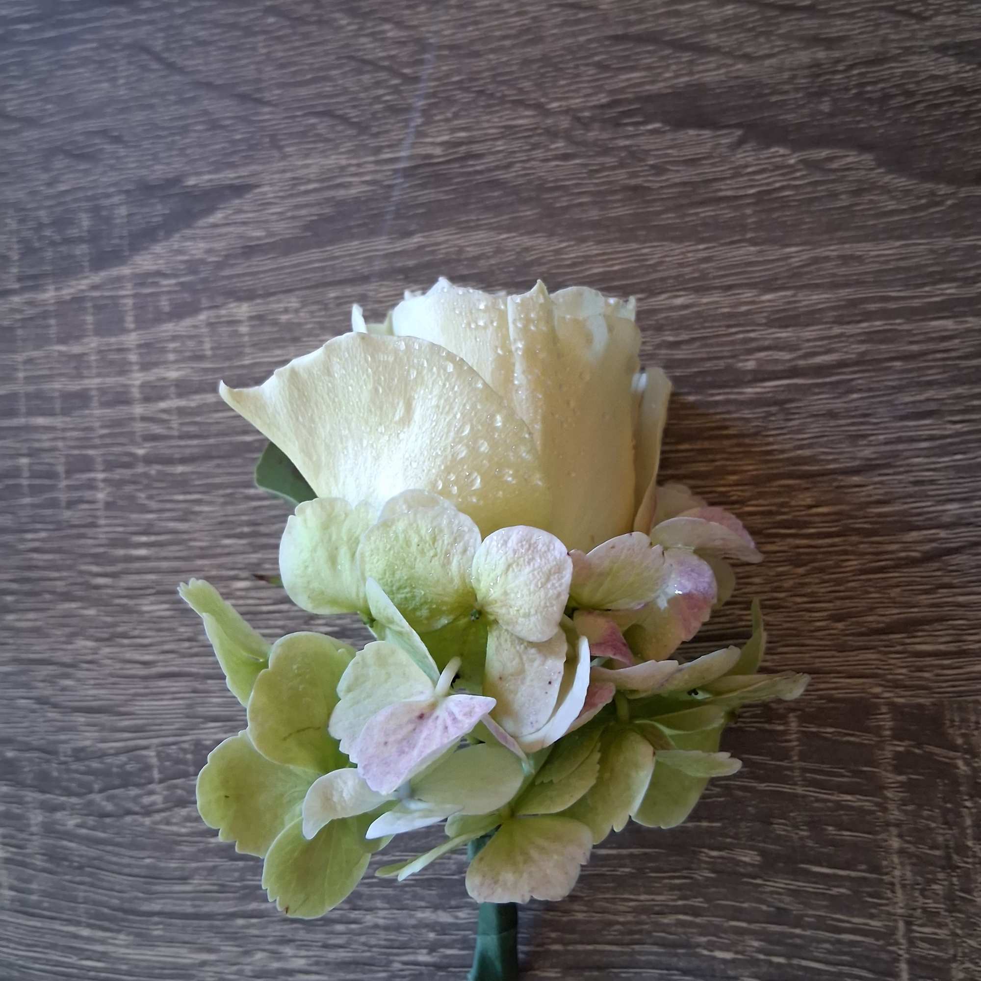 Beautiful white small garden rose with wantage white/green hydrangea