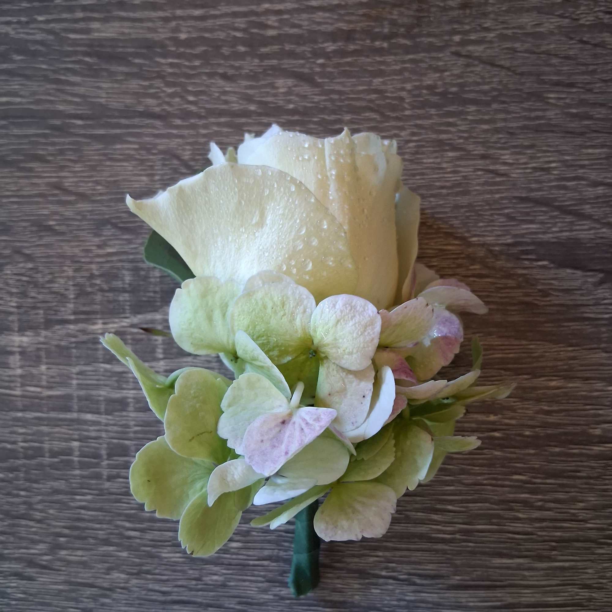 Beautiful white small garden rose with wantage white/green hydrangea