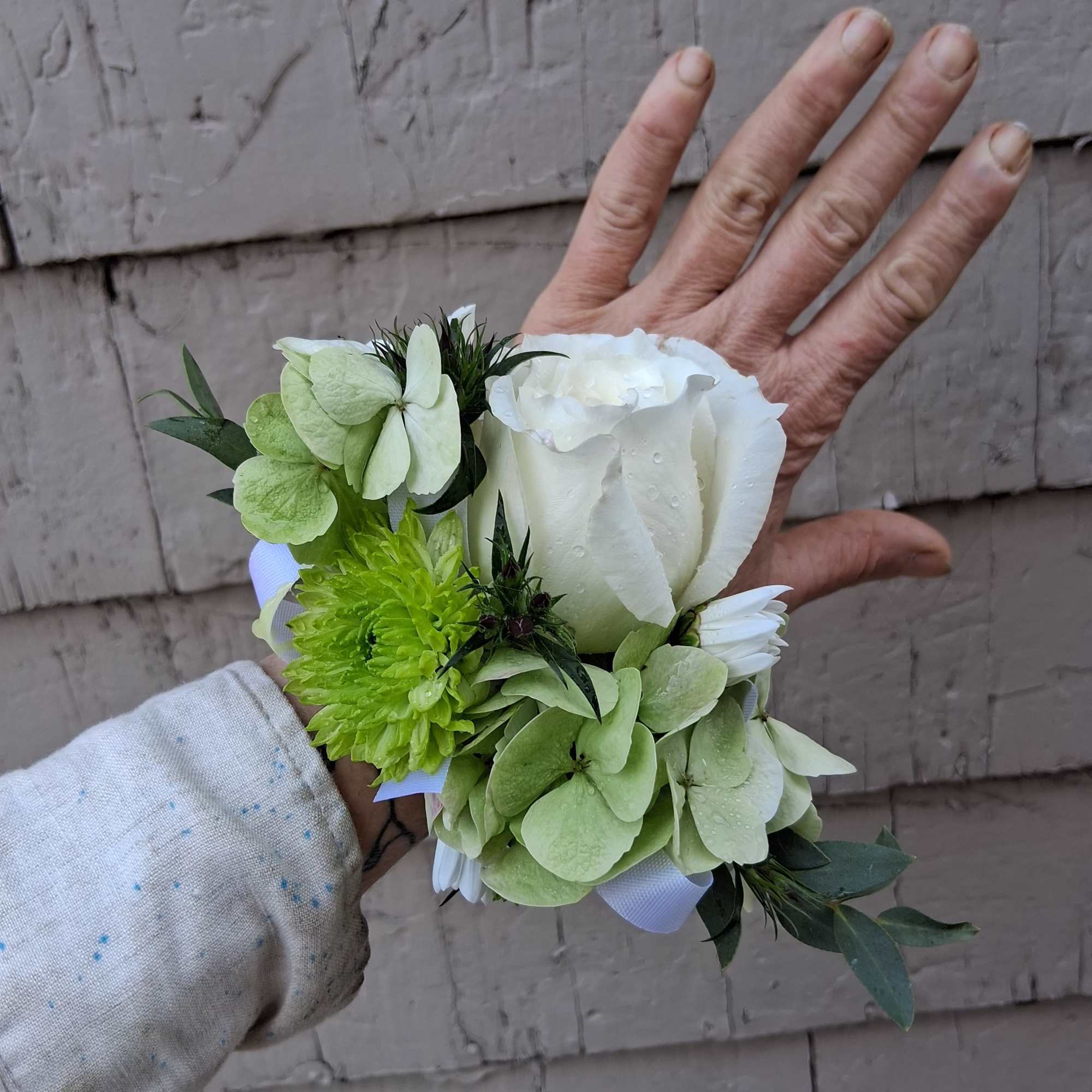 Small garden rose and vintage white/green hydrangea 