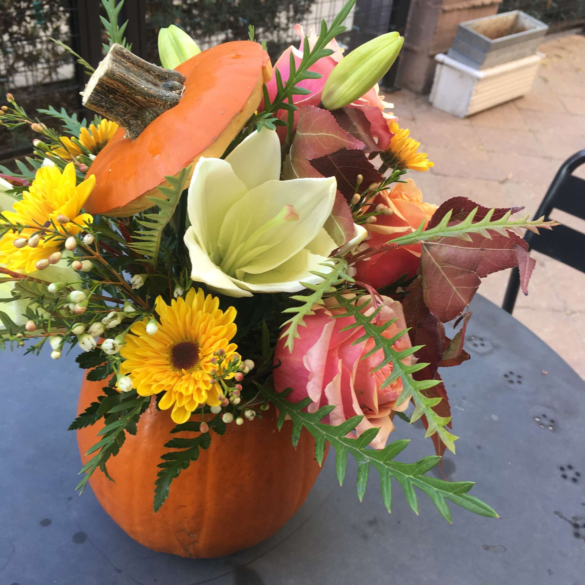Send your loved ones a Pumpkin full for the freshest Fall Blooms!