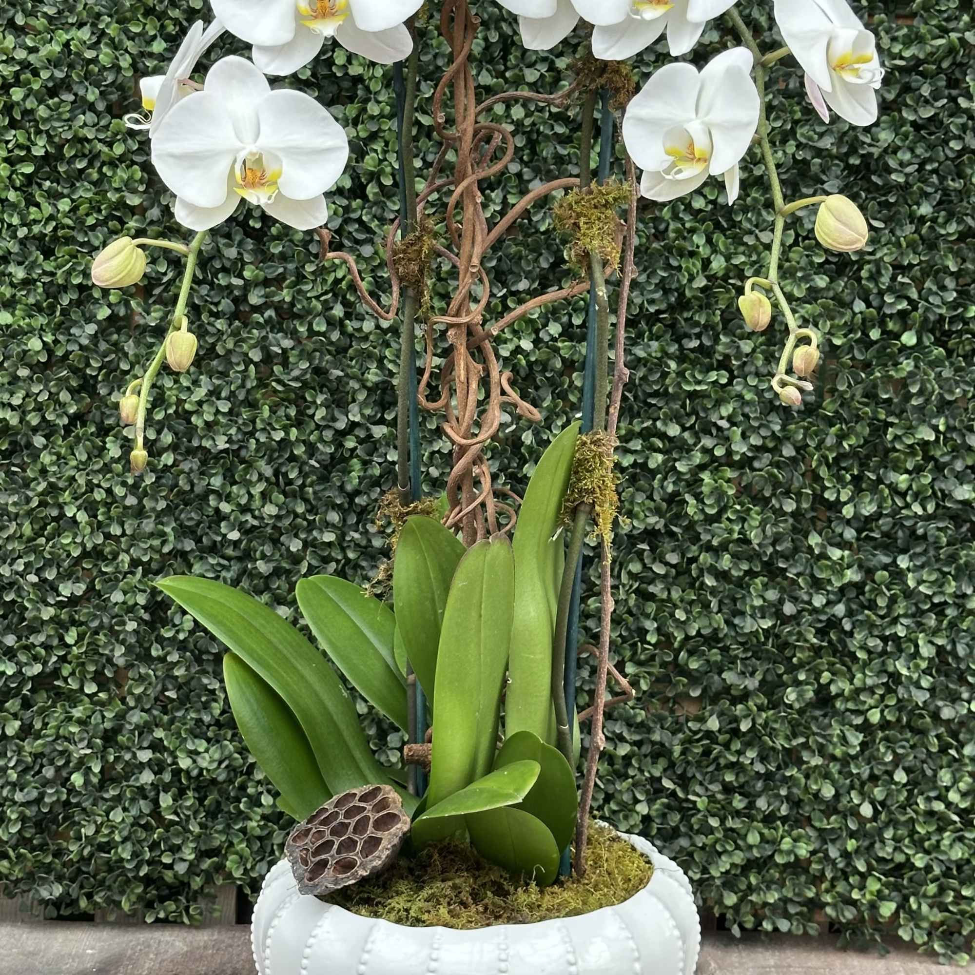 DOUBLE THE LOVE (WHITE) in Miami, FL | Hirni's Wayside Garden Florist