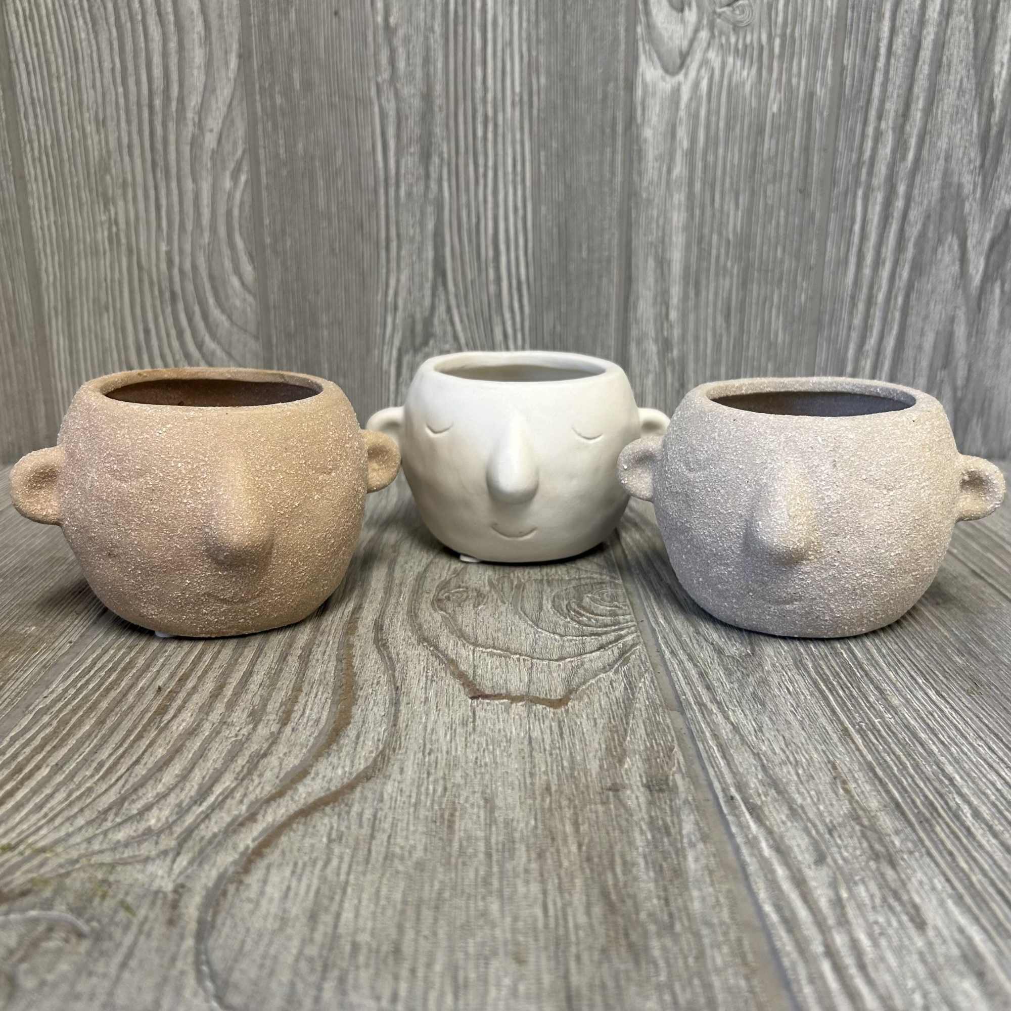 A 3-4&quot; ceramic assorted color face container with an assorted tillandsia on