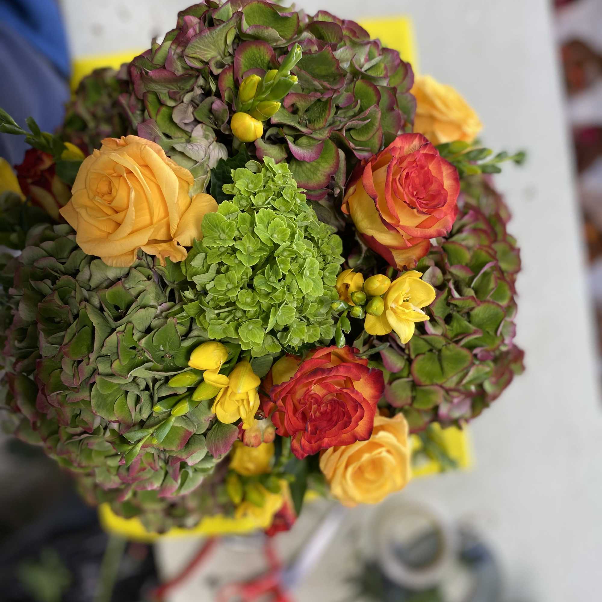 Mixture of Fall &amp; Winter- Color Dutch Hydrangea - Fall color Roses