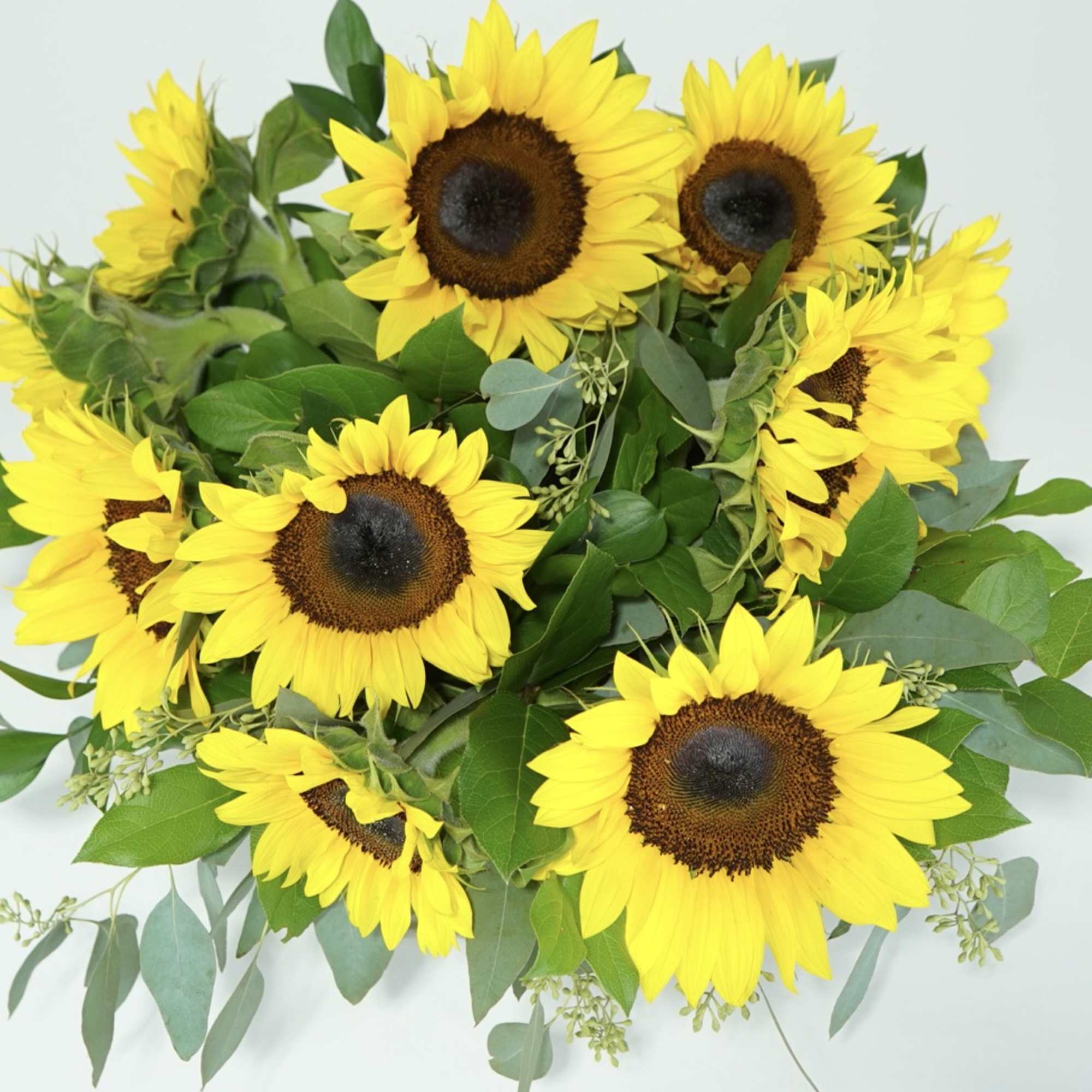  A magnificent display of sunflowers accented with decorative greens and eucalyptus.