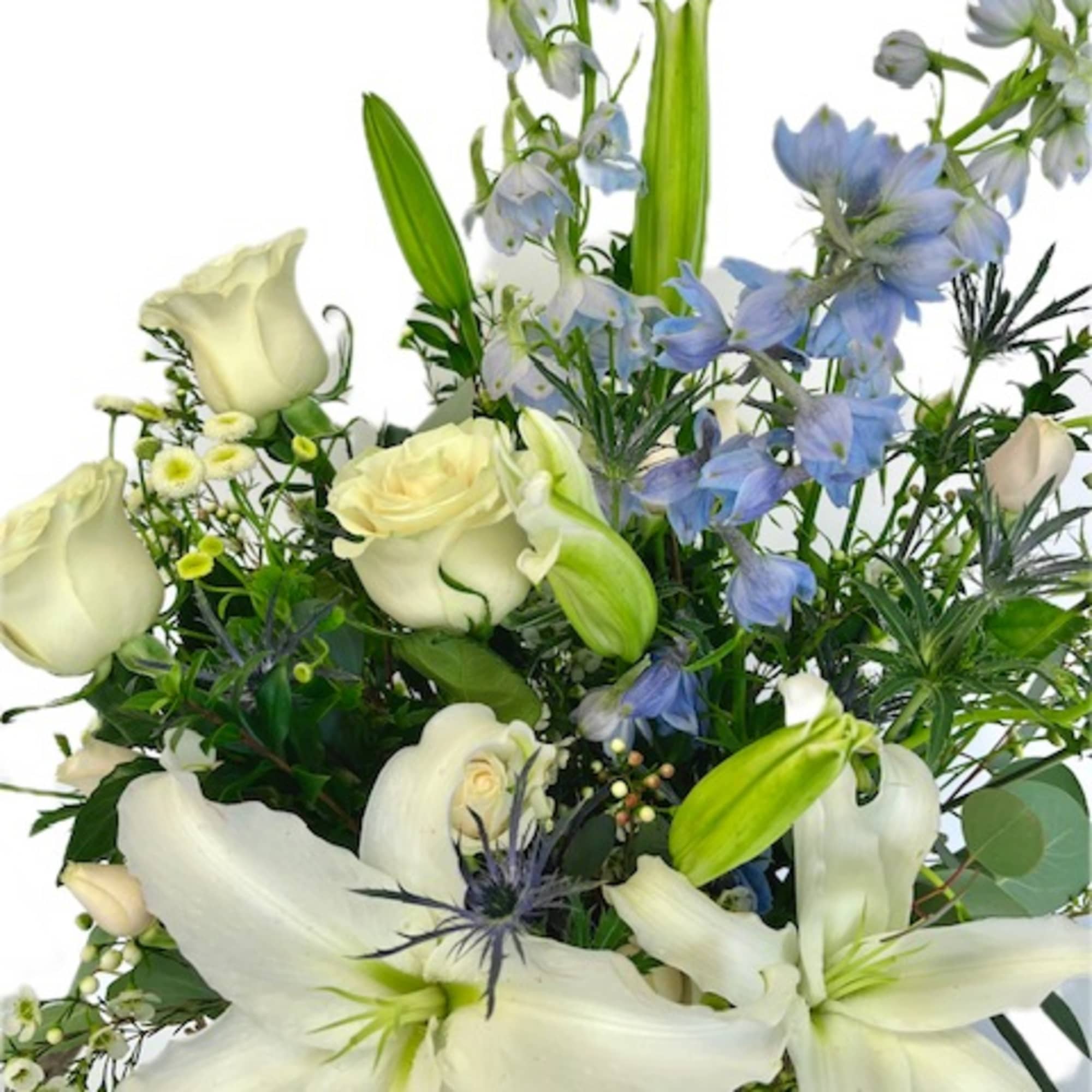 Soft blue delphinium stands high above soft white blooms of roses and