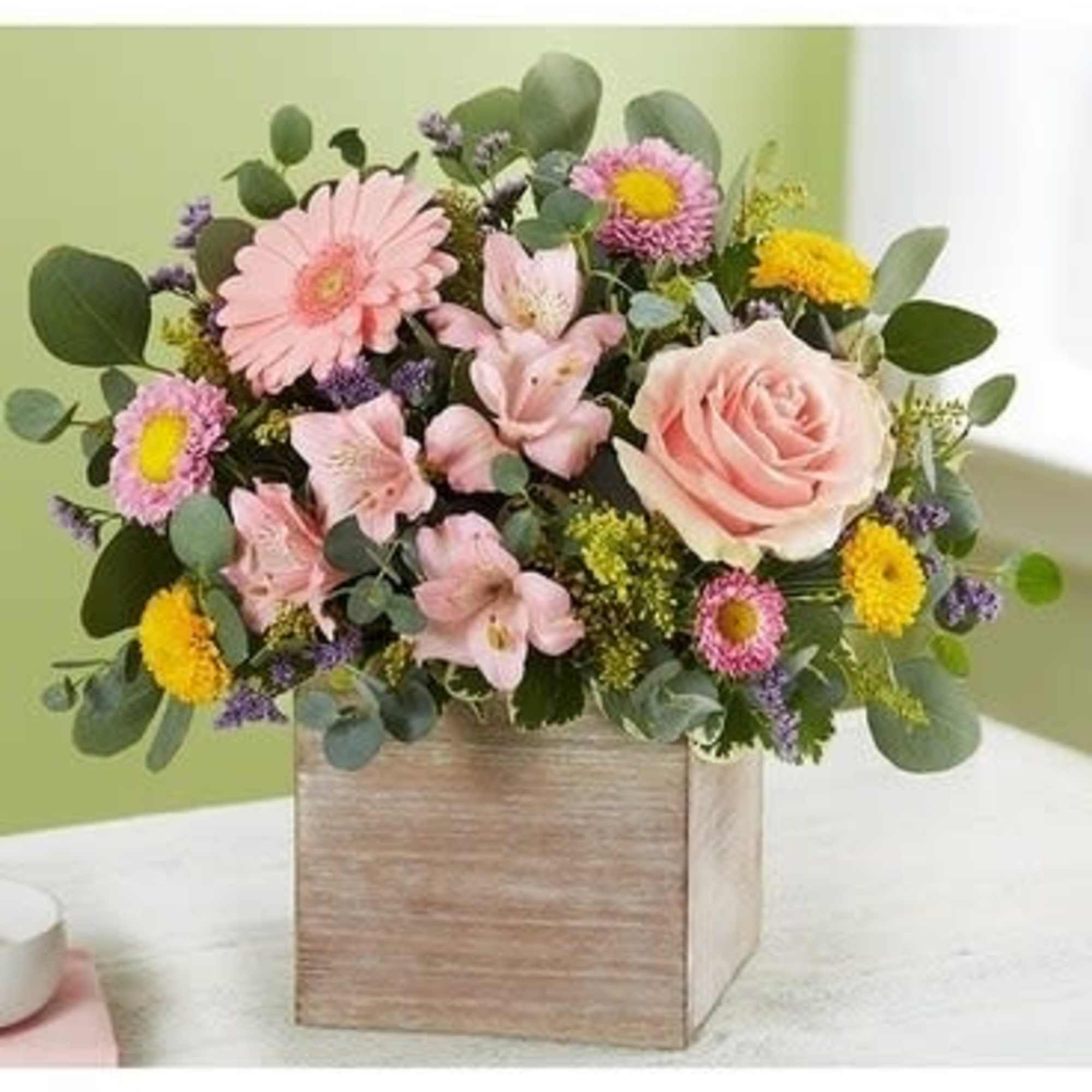 Spring is a time to refresh and reach out. Our new spring