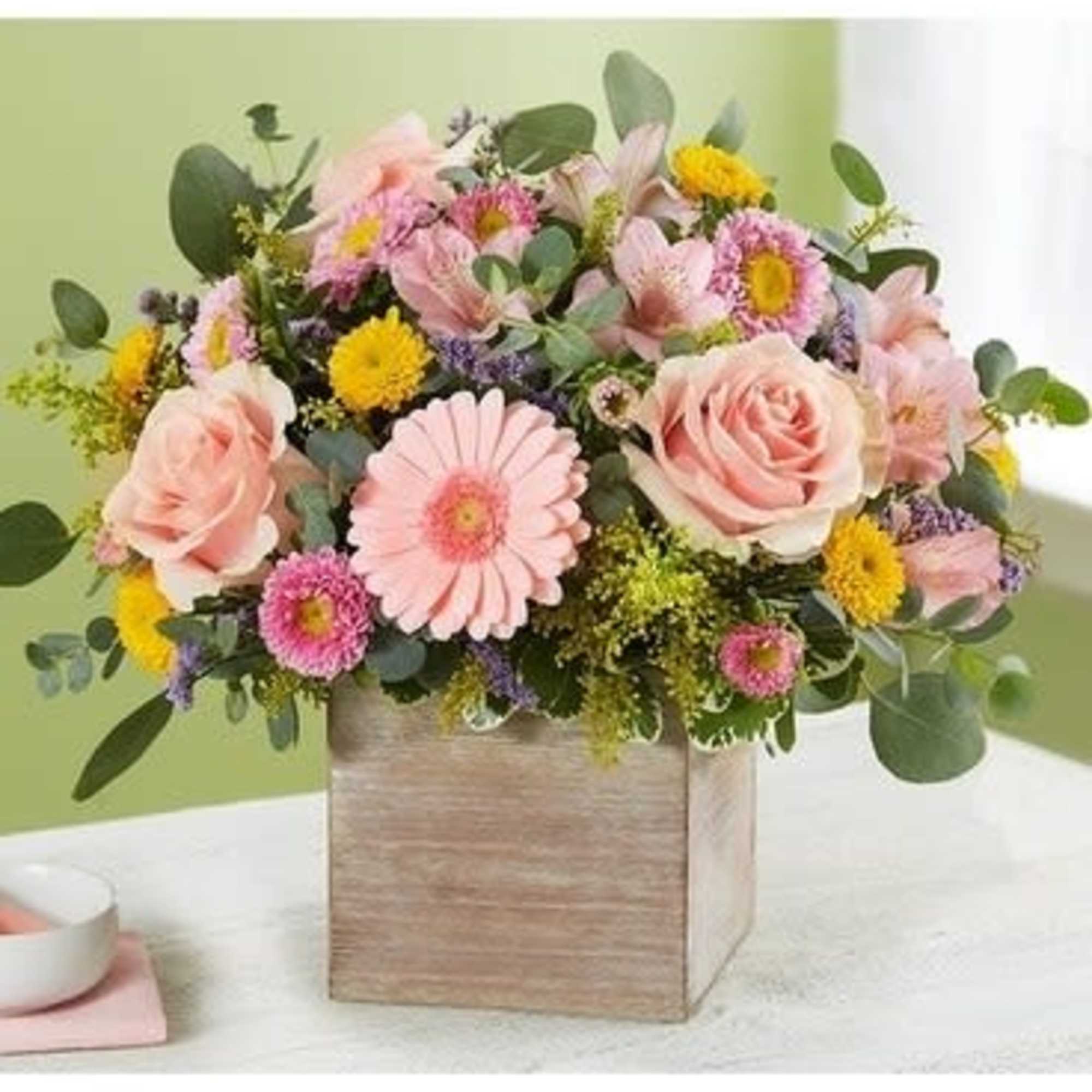 Spring is a time to refresh and reach out. Our new spring