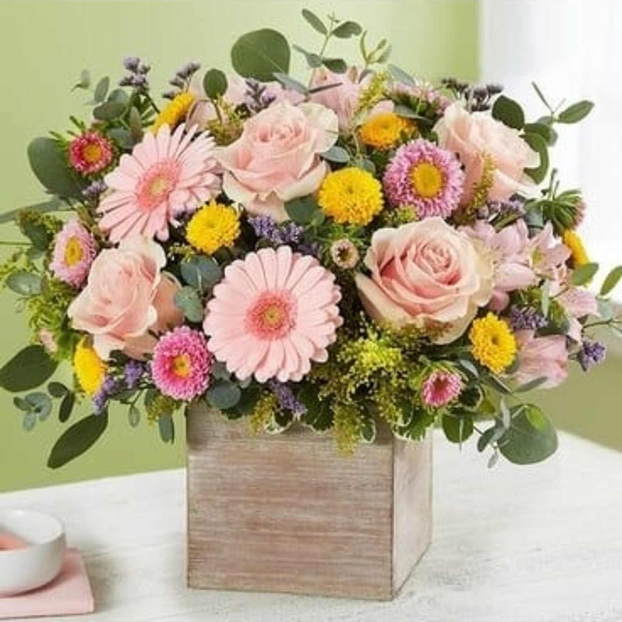 Spring is a time to refresh and reach out. Our new spring