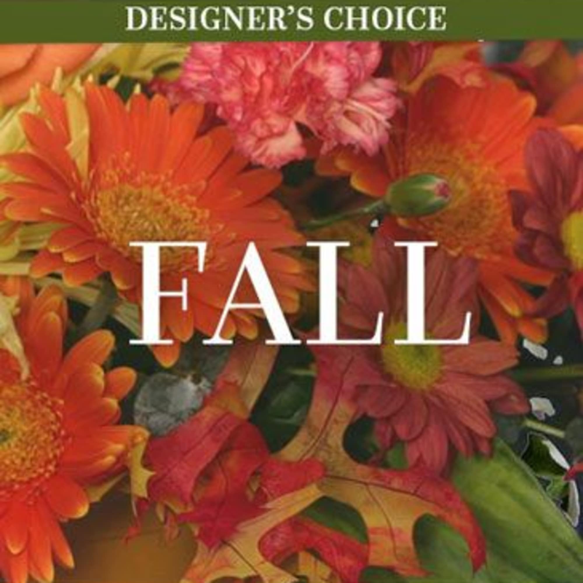 These flowers are perfect for fall! Fill your home with the beautiful