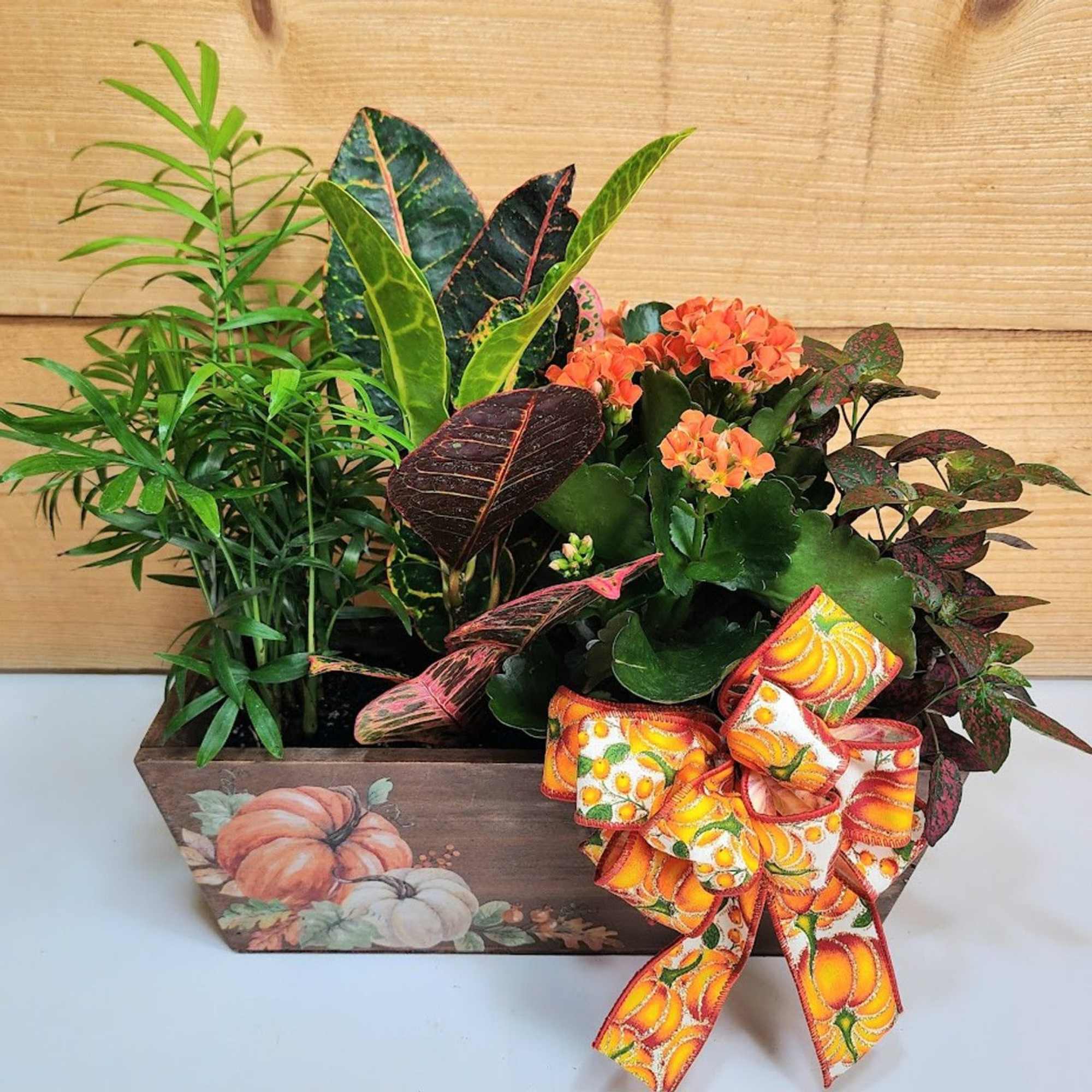Pumpkin Patch Planter
Bring the warmth of the harvest season indoors with this Pumpkin Patch Planter
Bring the warmth of the harvest season indoors with this