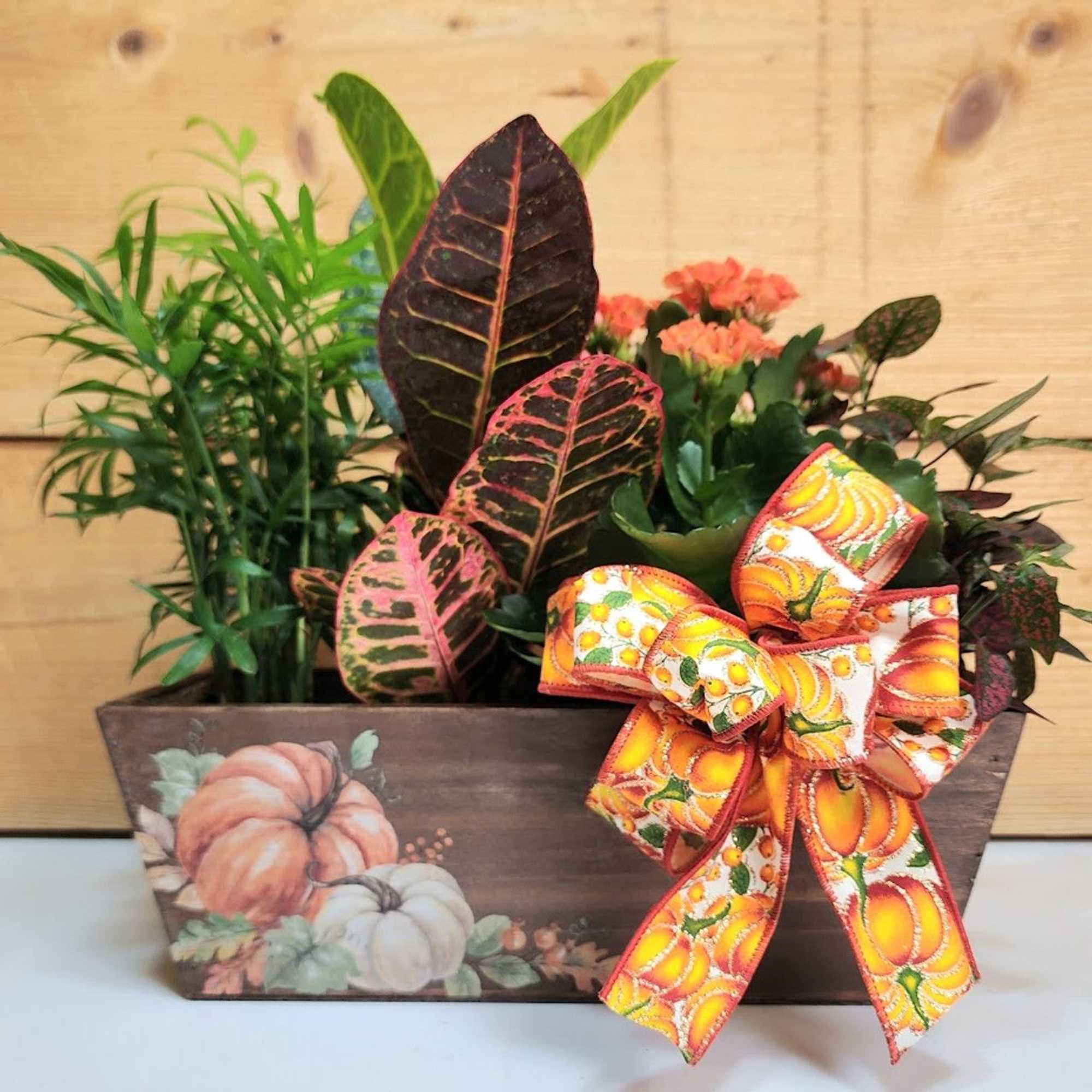 Pumpkin Patch Planter
Bring the warmth of the harvest season indoors with this Pumpkin Patch Planter
Bring the warmth of the harvest season indoors with this