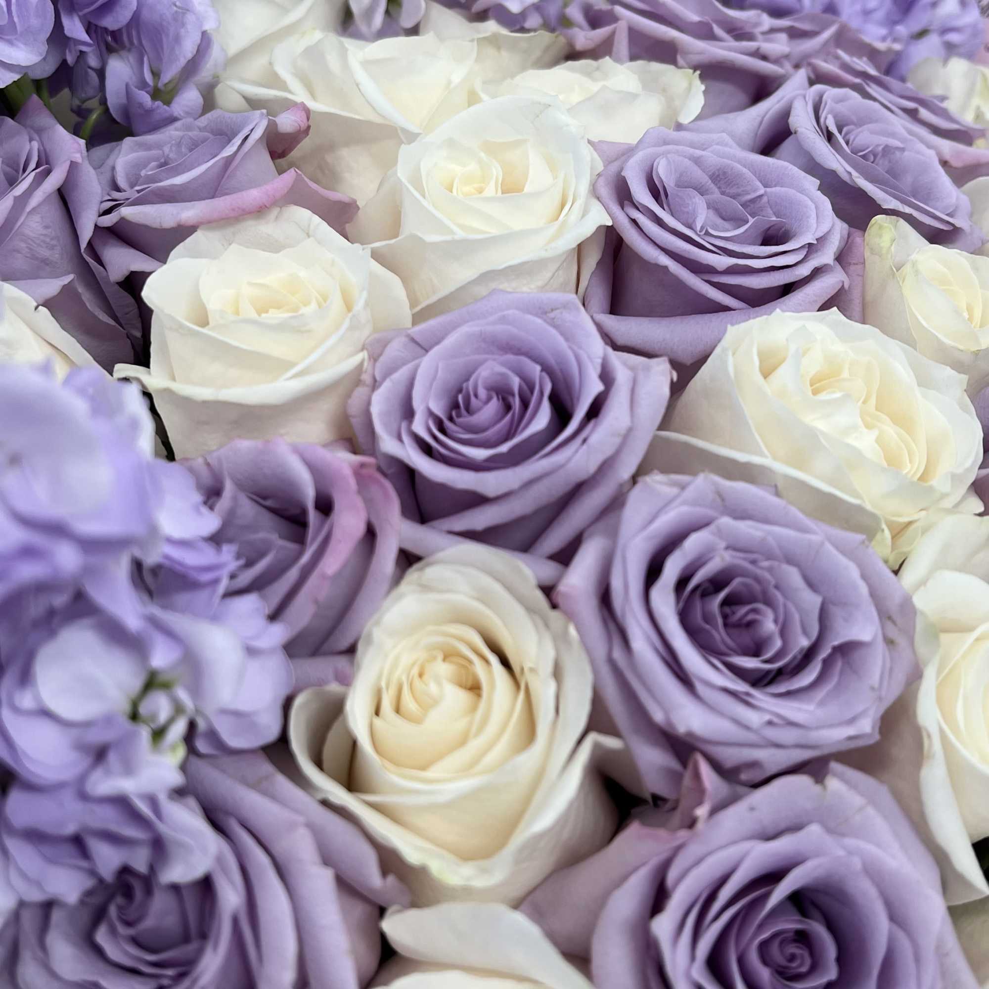 Buyer will receive 50 roses in total with snapdragon around 