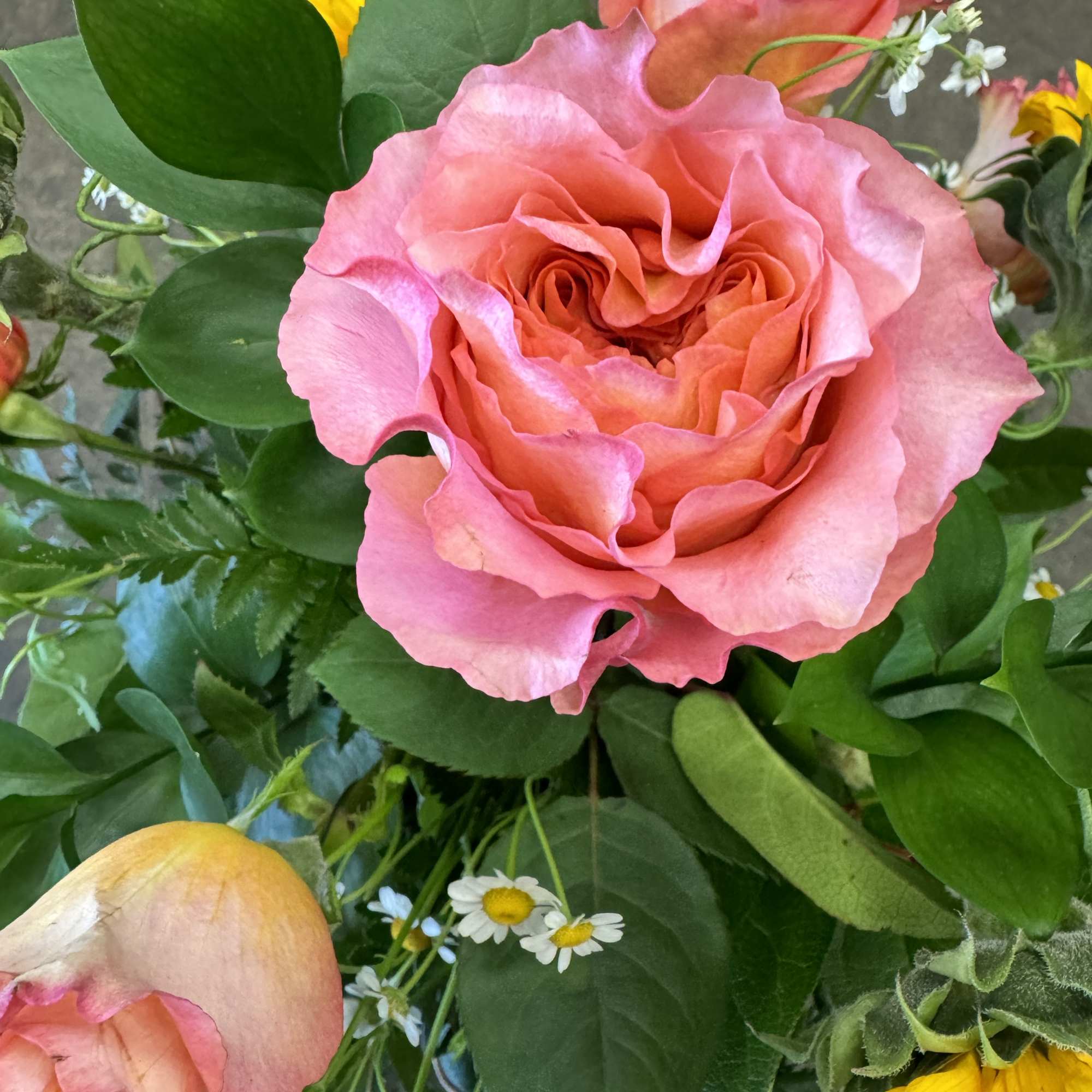 In this arrangement, the warmth of the sun is captured through the In this arrangement, the warmth of the sun is captured through the