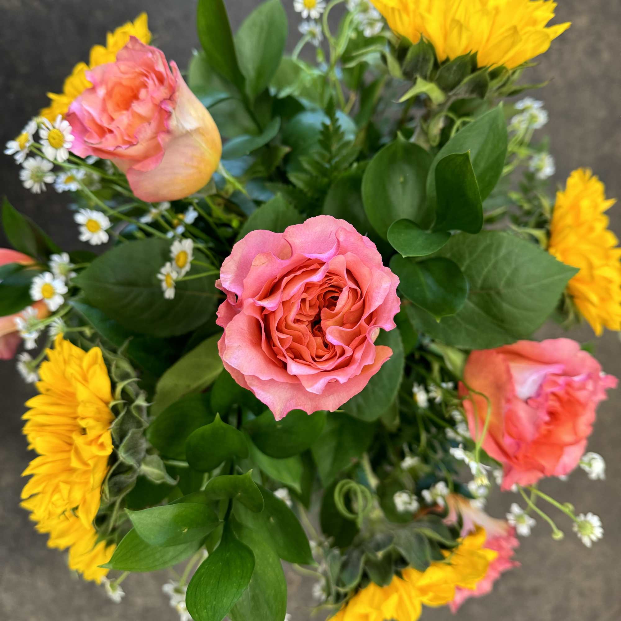 In this arrangement, the warmth of the sun is captured through the In this arrangement, the warmth of the sun is captured through the