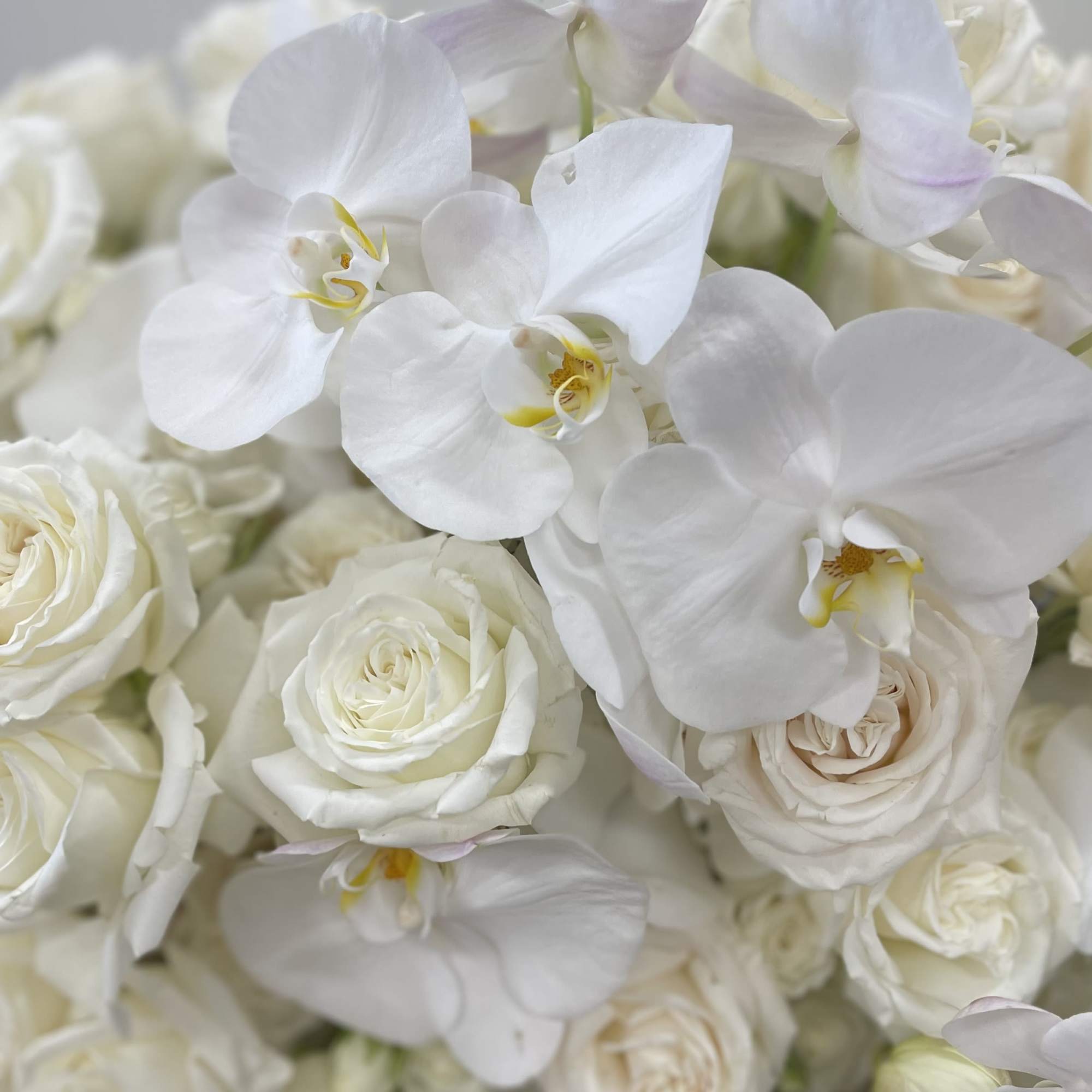 An opulent design featuring lush, full white roses and spray roses, paired