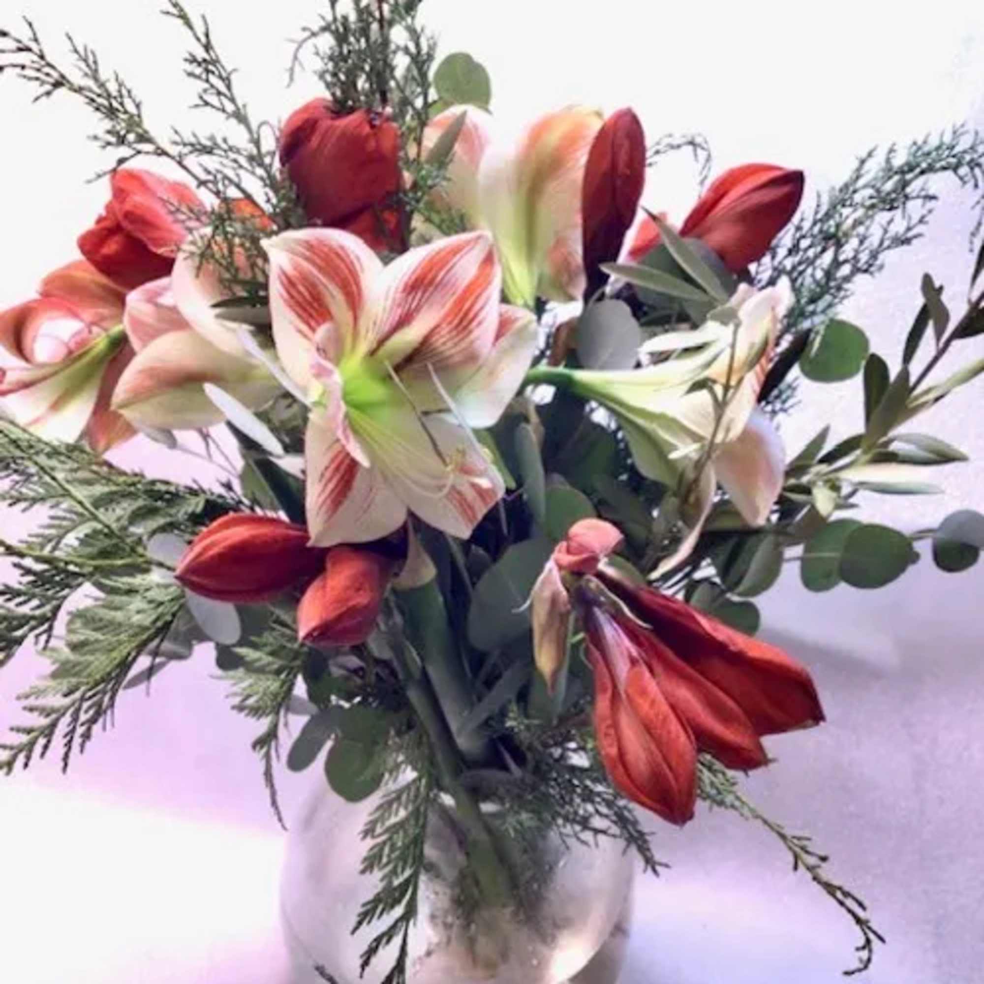 A sweet combination of our most fragrant stems including cedar, olive, eucalyptus