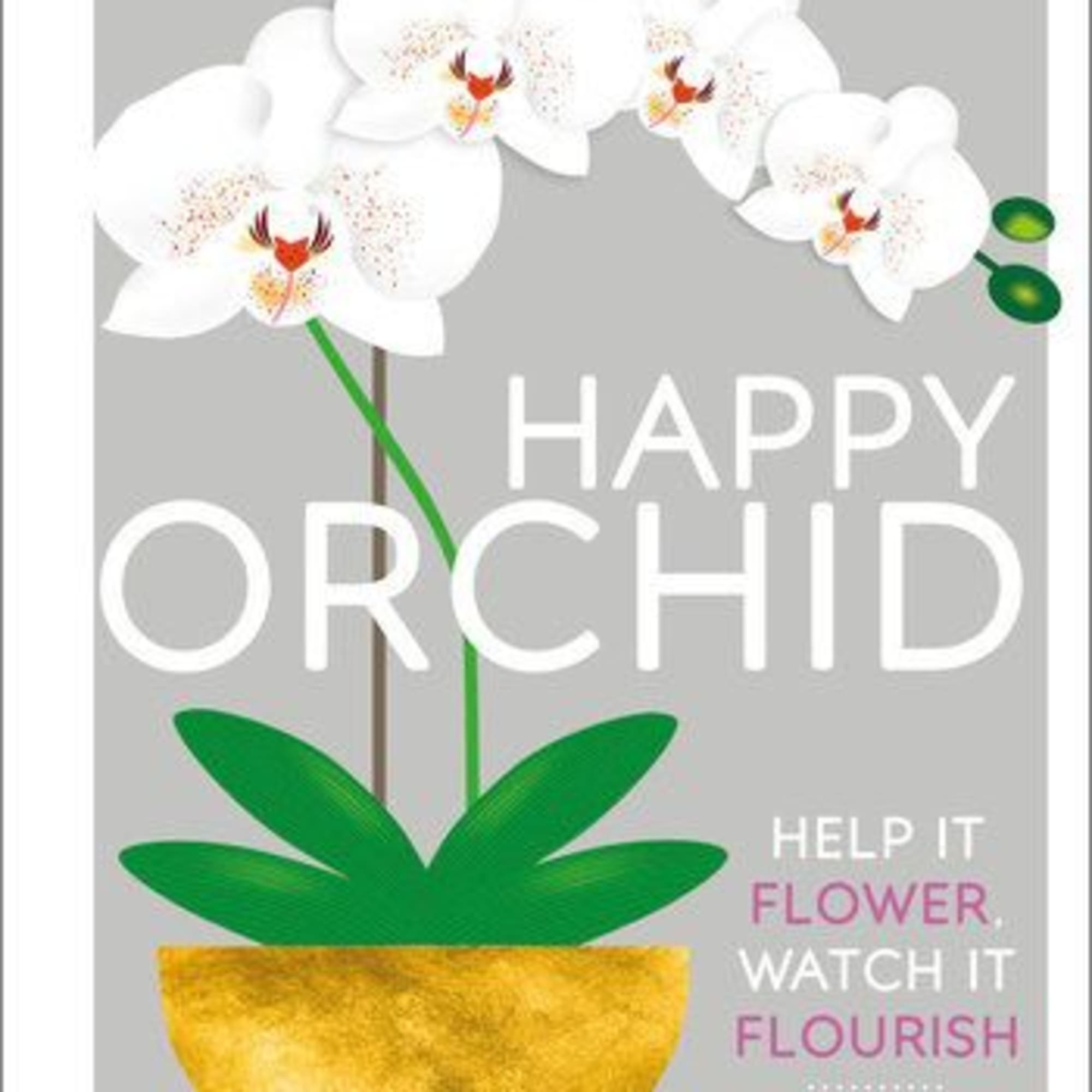 Did you know that many orchids hate being in direct sunlight? Or
