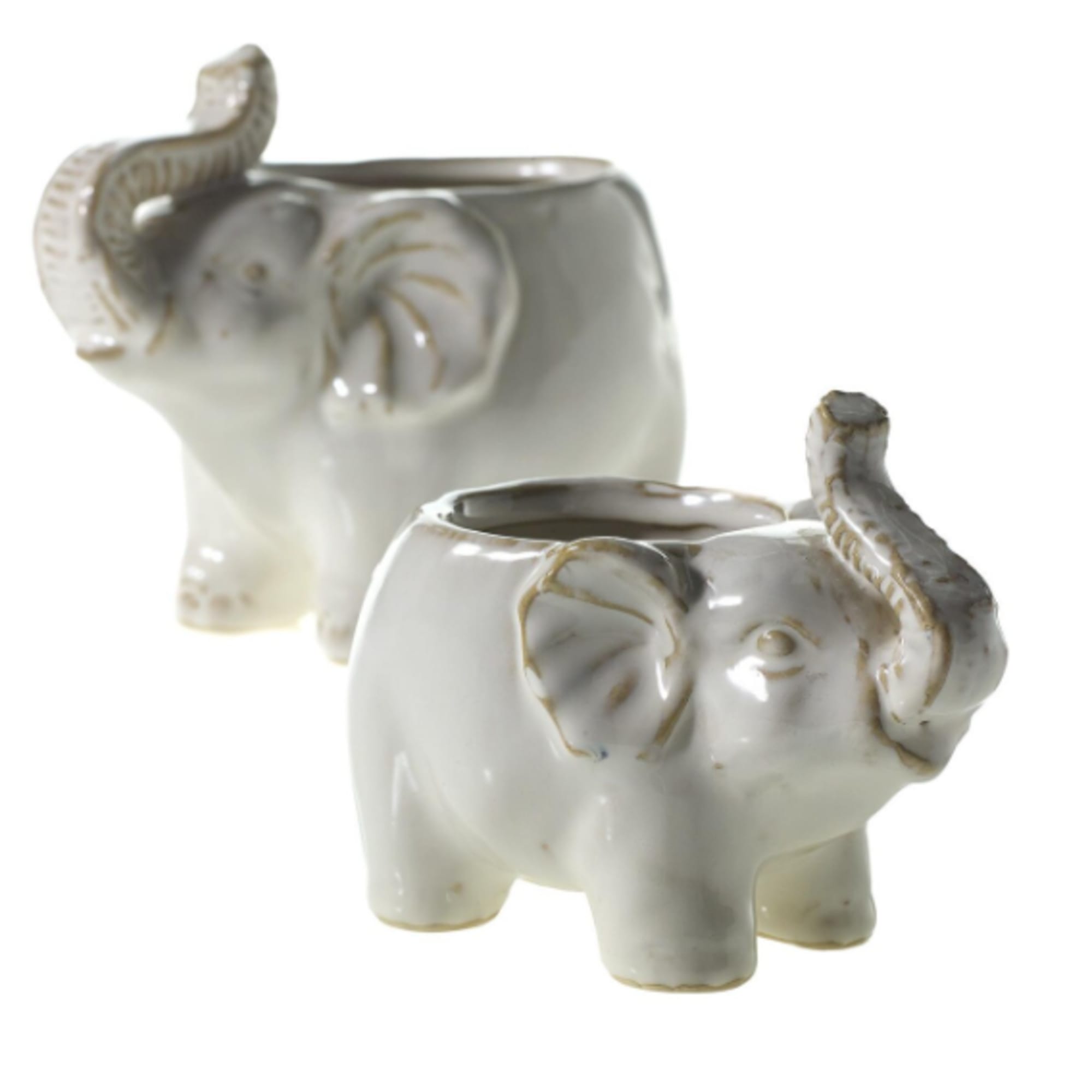 Can be potted with a houseplant as a delightful gift. Please select