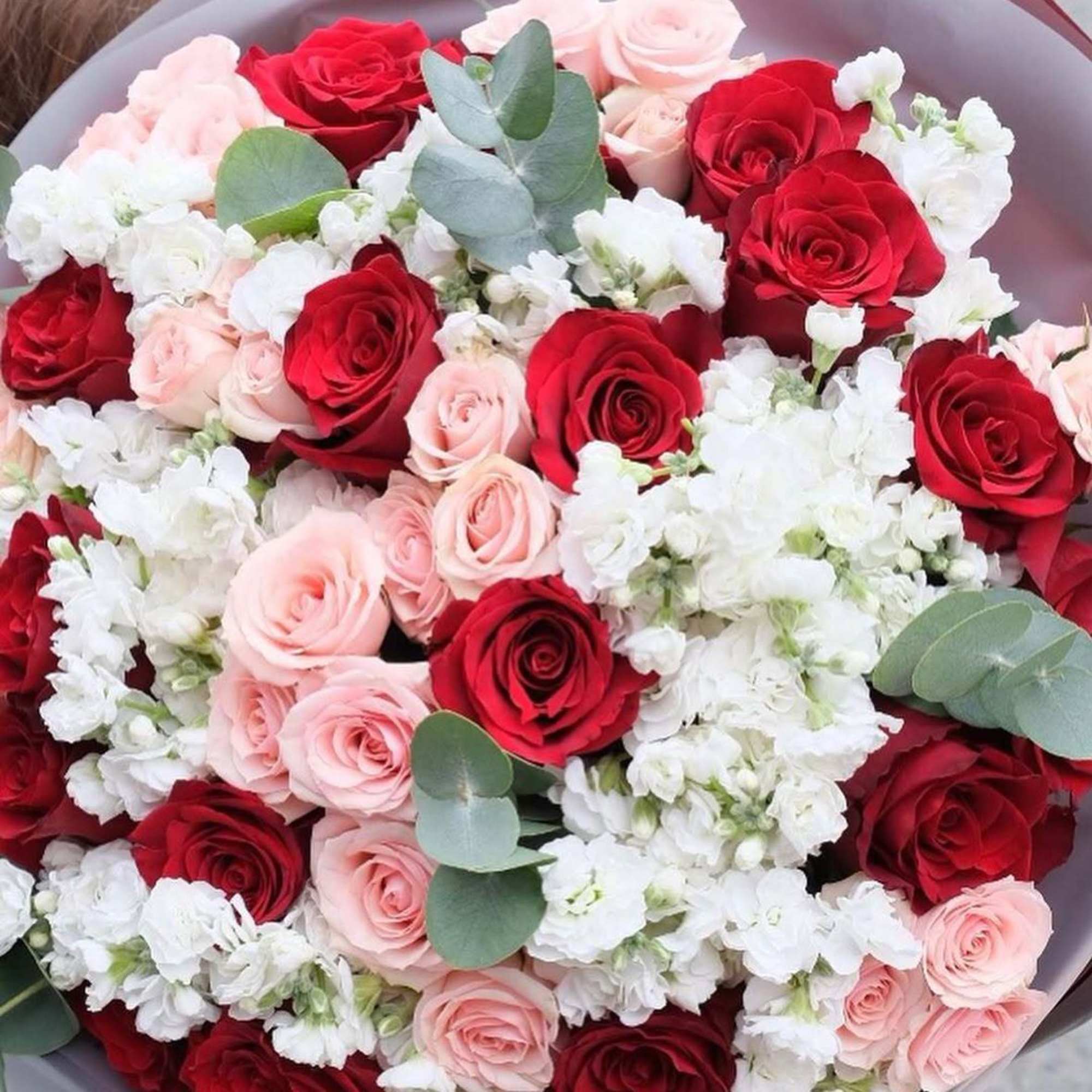 A stunning bouquet of fresh red roses, white stock flower and pink