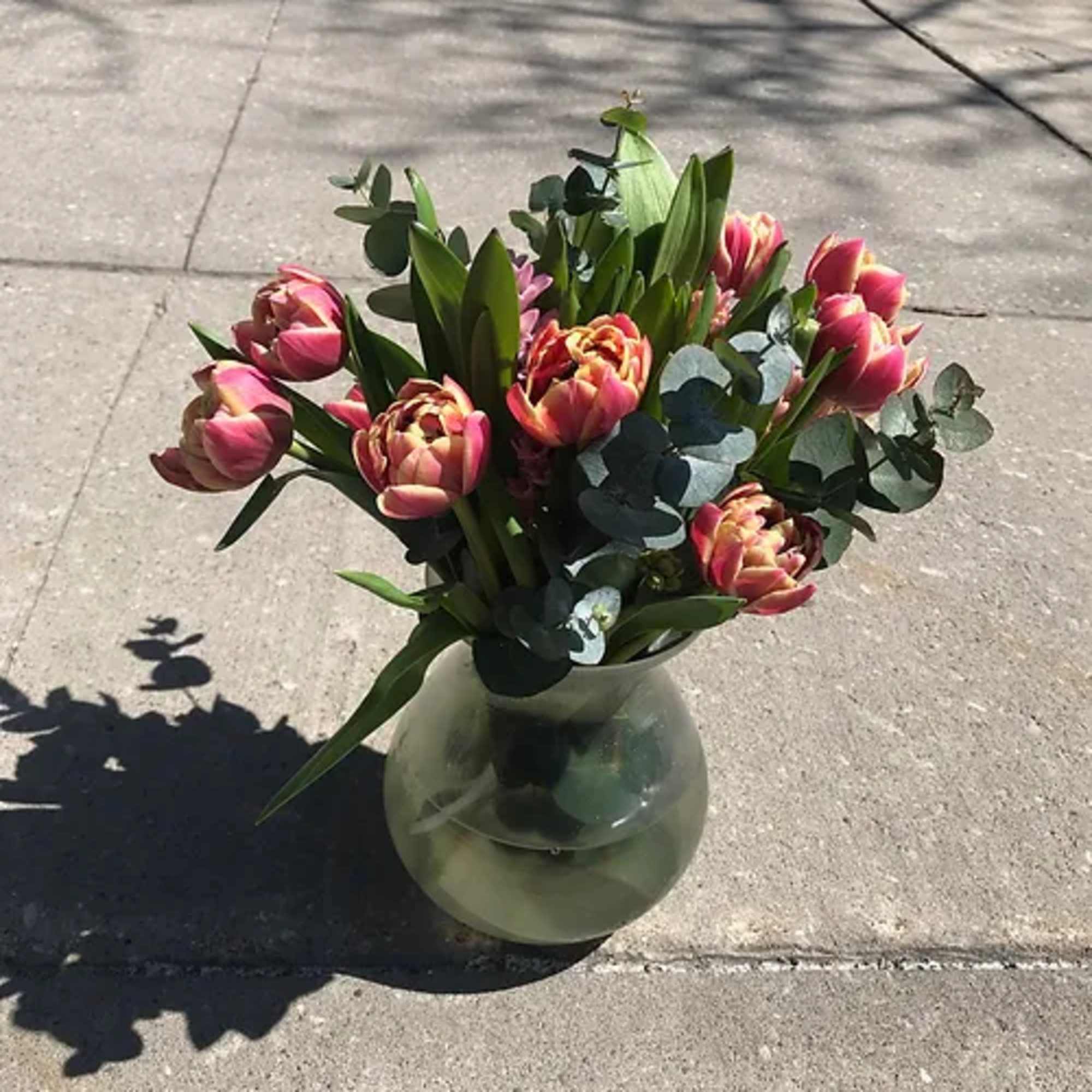 A mixture of locally grown premium novelty and classic tulips bunched with