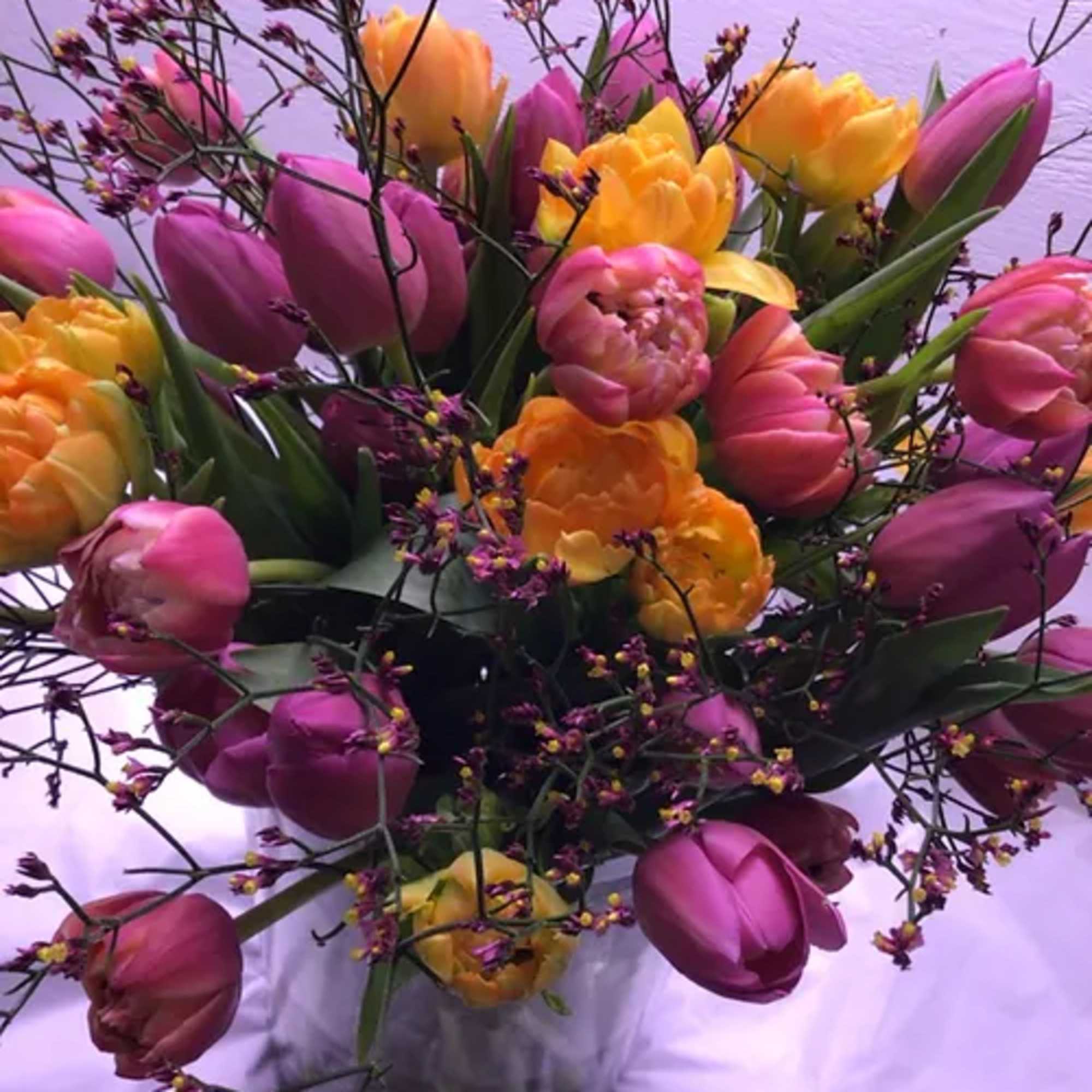 A mixture of locally grown premium novelty and classic tulips bunched with