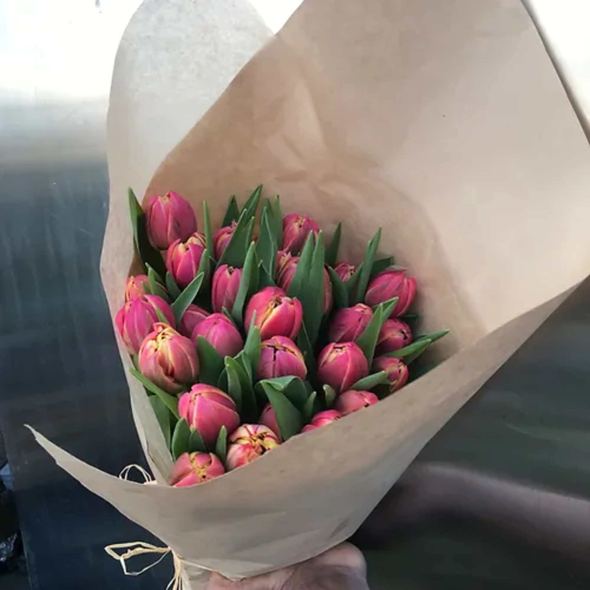 A mixture of locally grown premium novelty and classic tulips bunched with