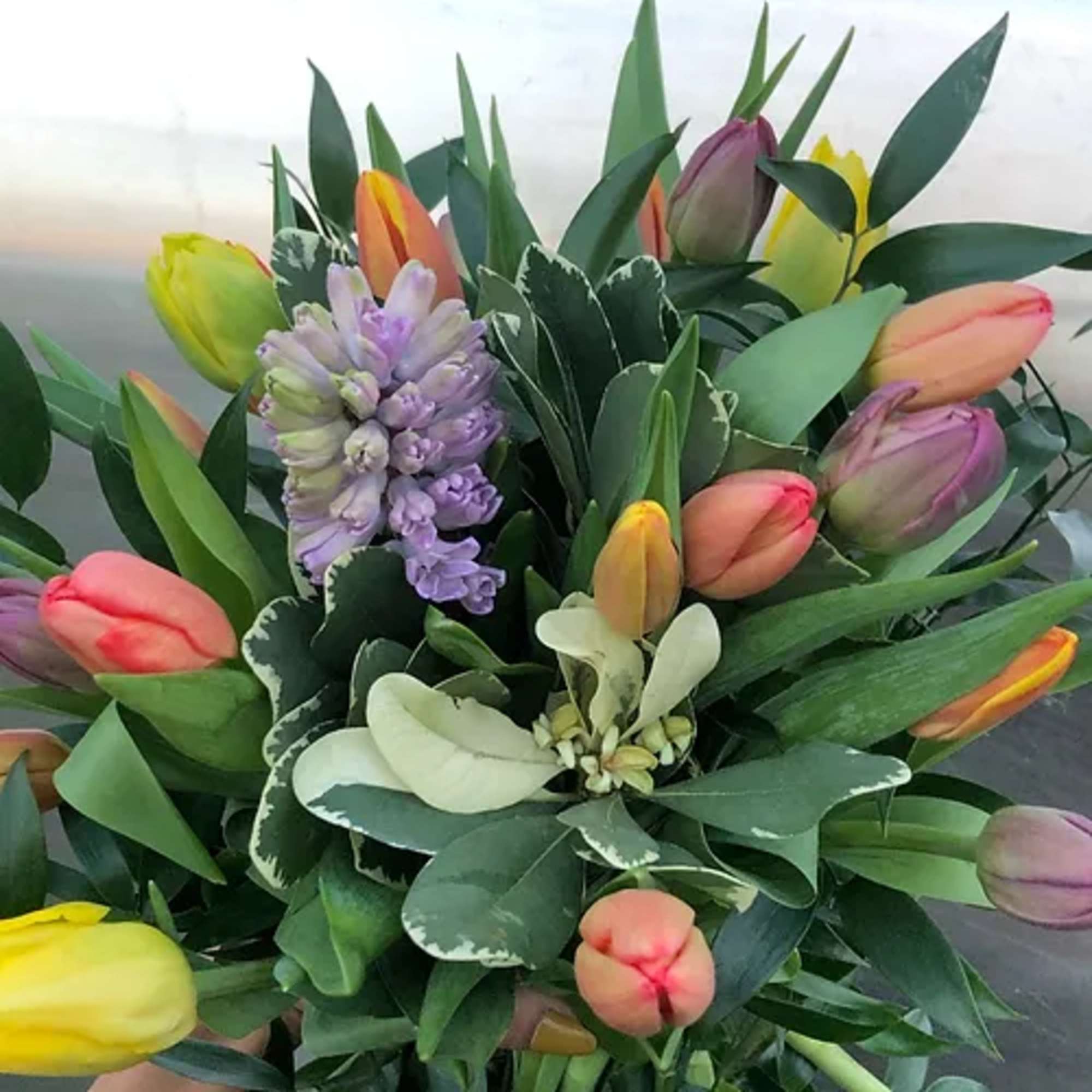 A mixture of locally grown premium novelty and classic tulips bunched with