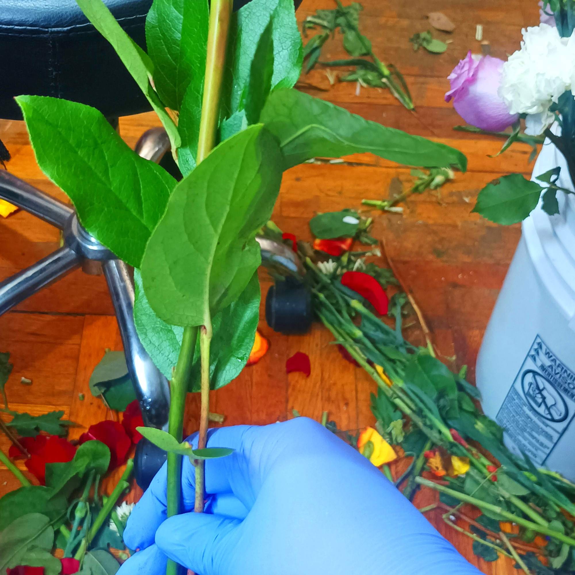 Simple and elegant way to convey your love with a single Long