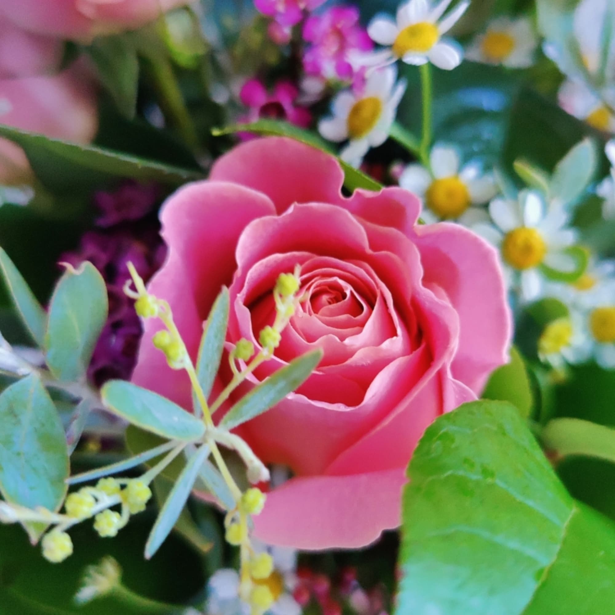 Beautiful floral arrangement decorated with 12 fresh quality roses in pink tones
