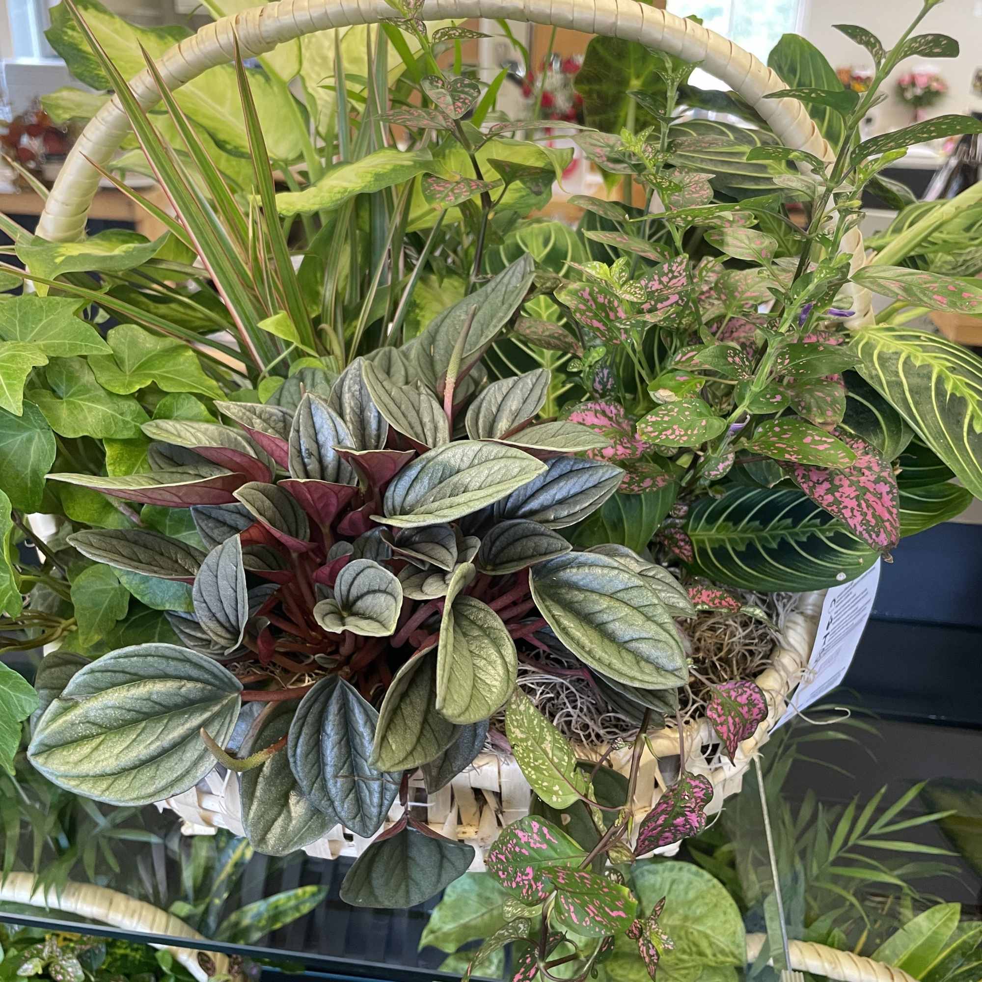 Calling all plant lovers.... our dish gardens make the perfect gift. They