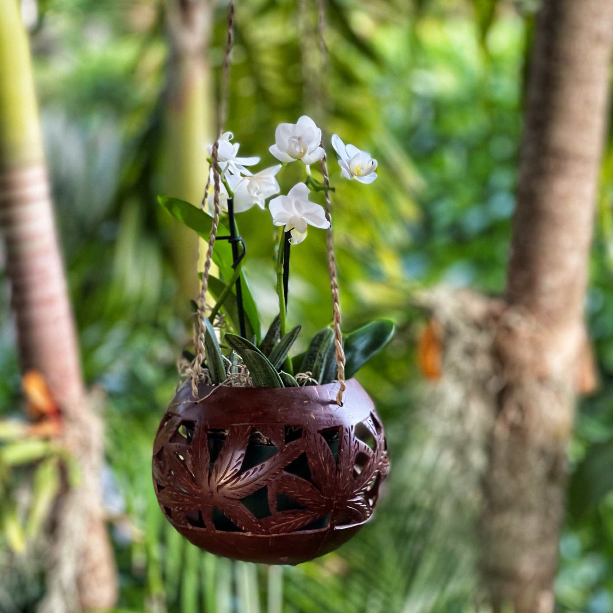 This basket really captures the feel of living by the ocean. It