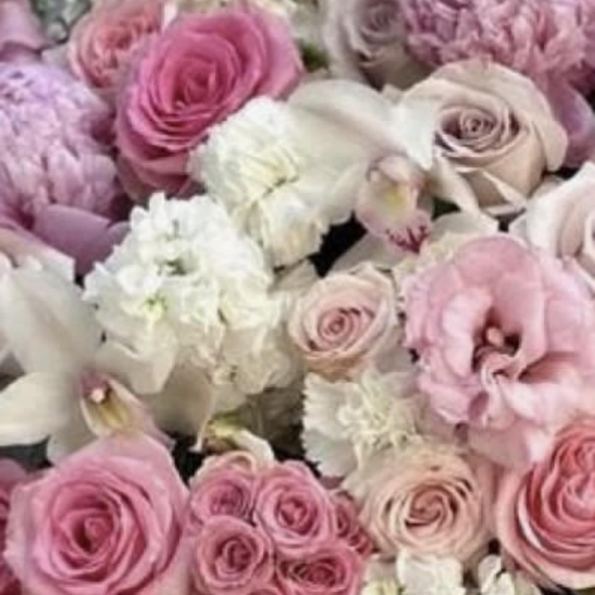 Show sorority pride with a beautiful arrangement in her new sorority colors!