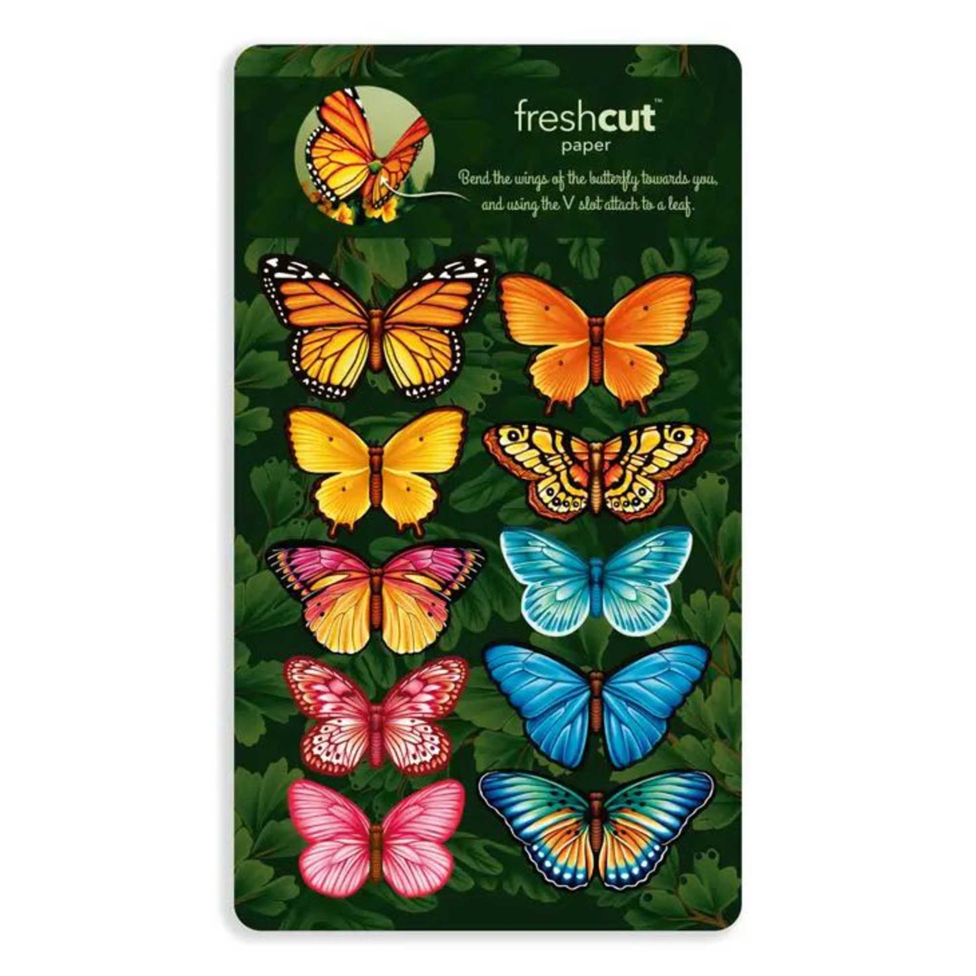 Experience the wonders of a woodland meadow: colorful butterflies, soft buttercups, and