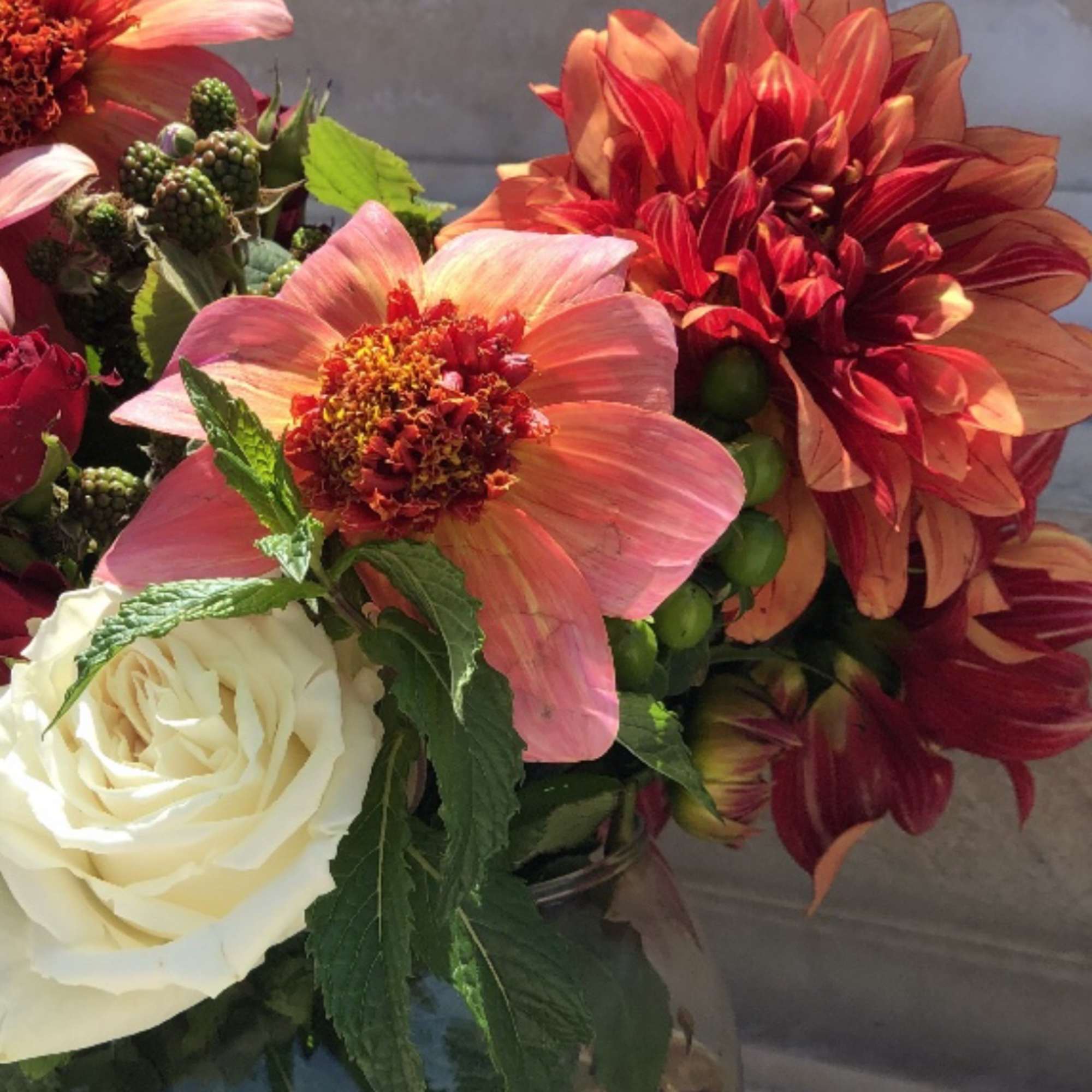 Dahlia's are back in season! they are bold and beautiful and alive Dahlia's are back in season! they are bold and beautiful and alive