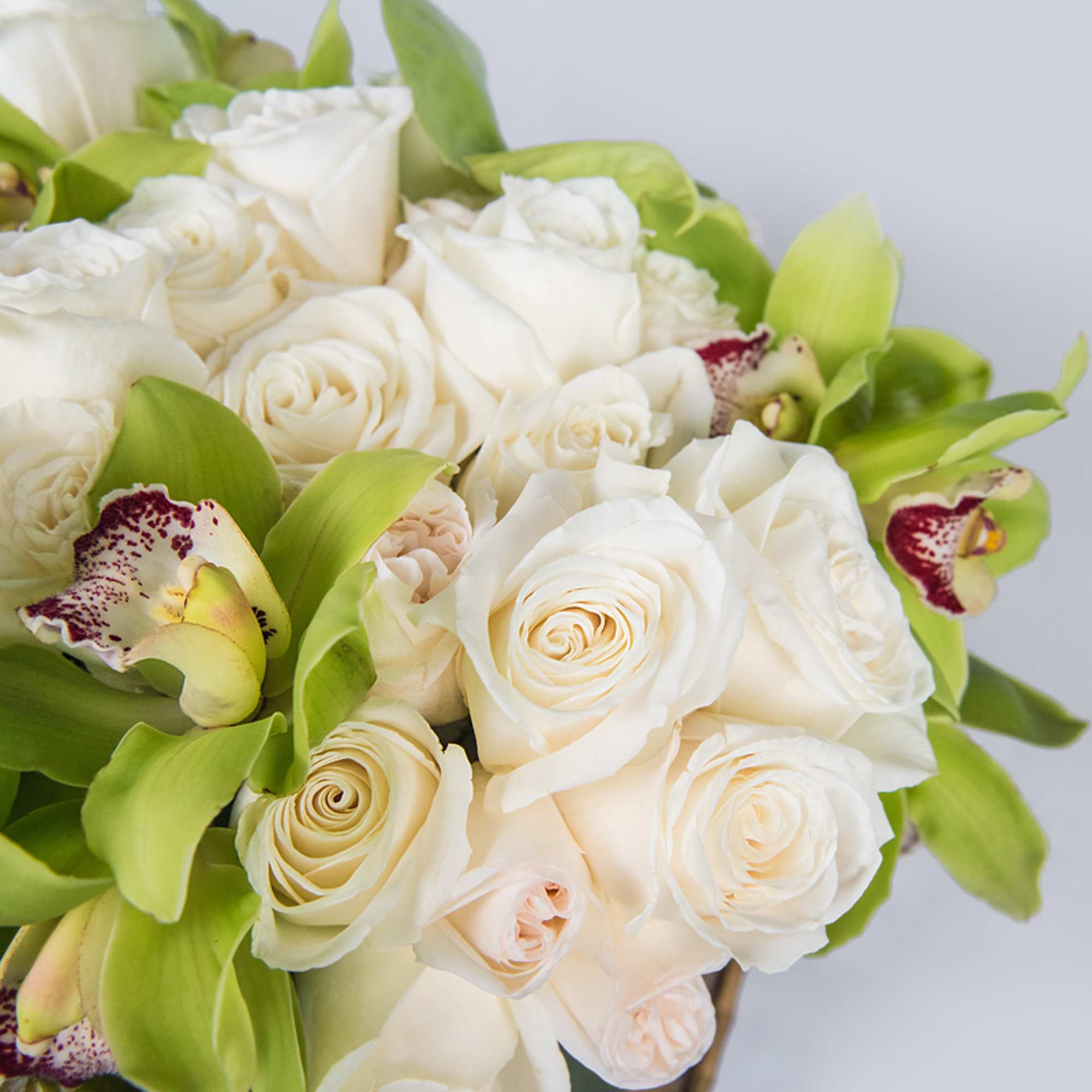 The loveliest shade of green with high quality flowers. White Playa Blanca