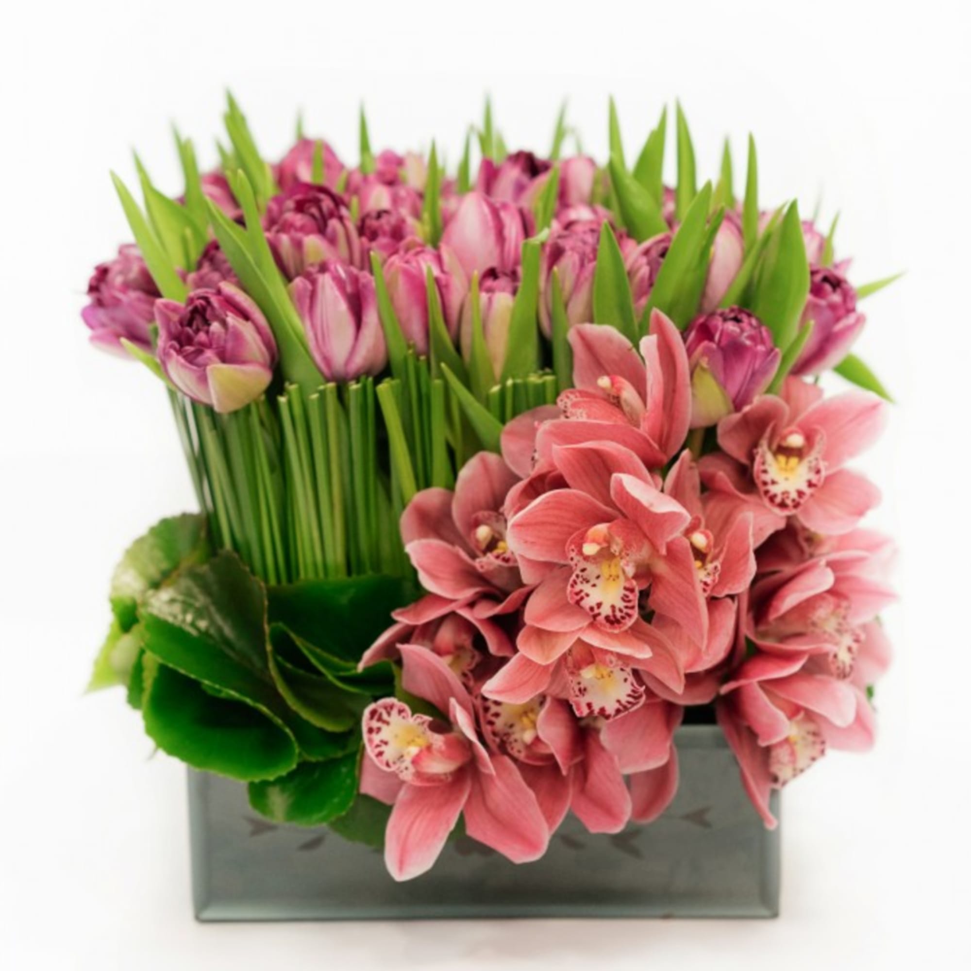 Elegant and opulent Cymbidium Orchids and Tulips come together exquisitely in the