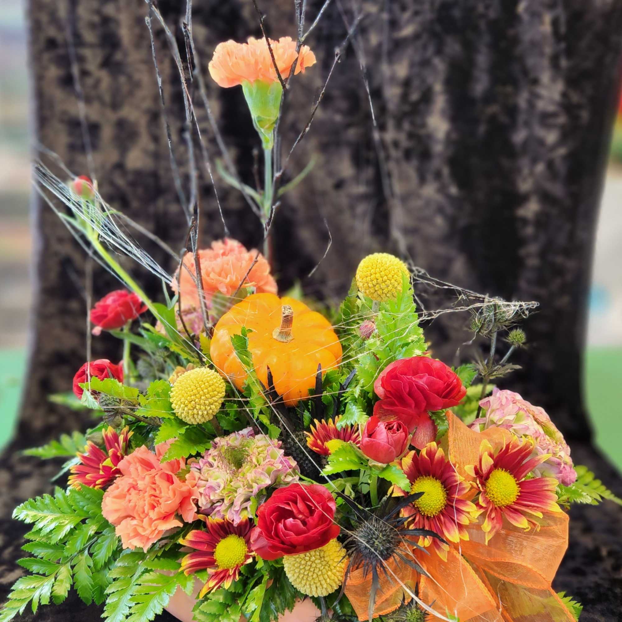 This is a a next level to designers choice, this allows the