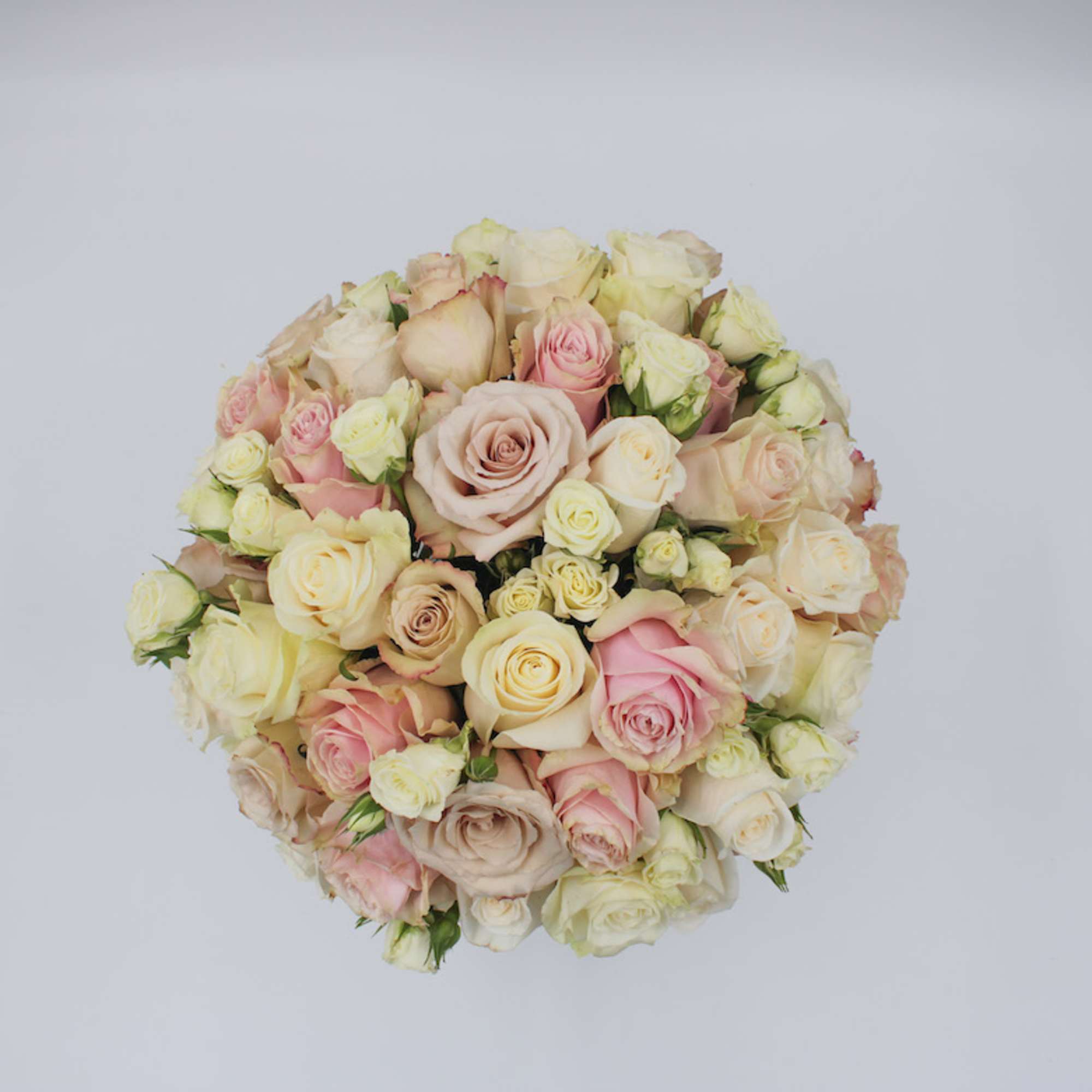 A beautiful display of mixed neutral toned roses, Bellissimo features a lush