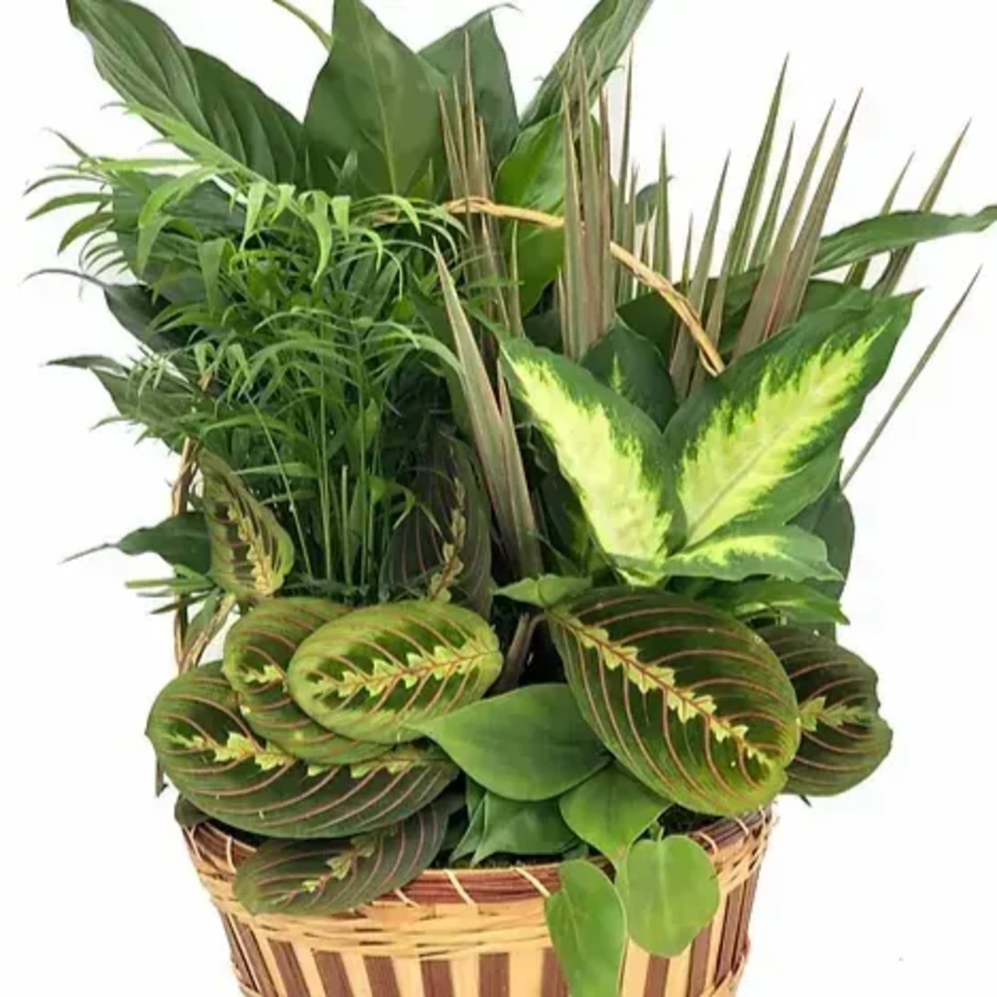 Your planter will arrive adorned with a bow. For an added touch