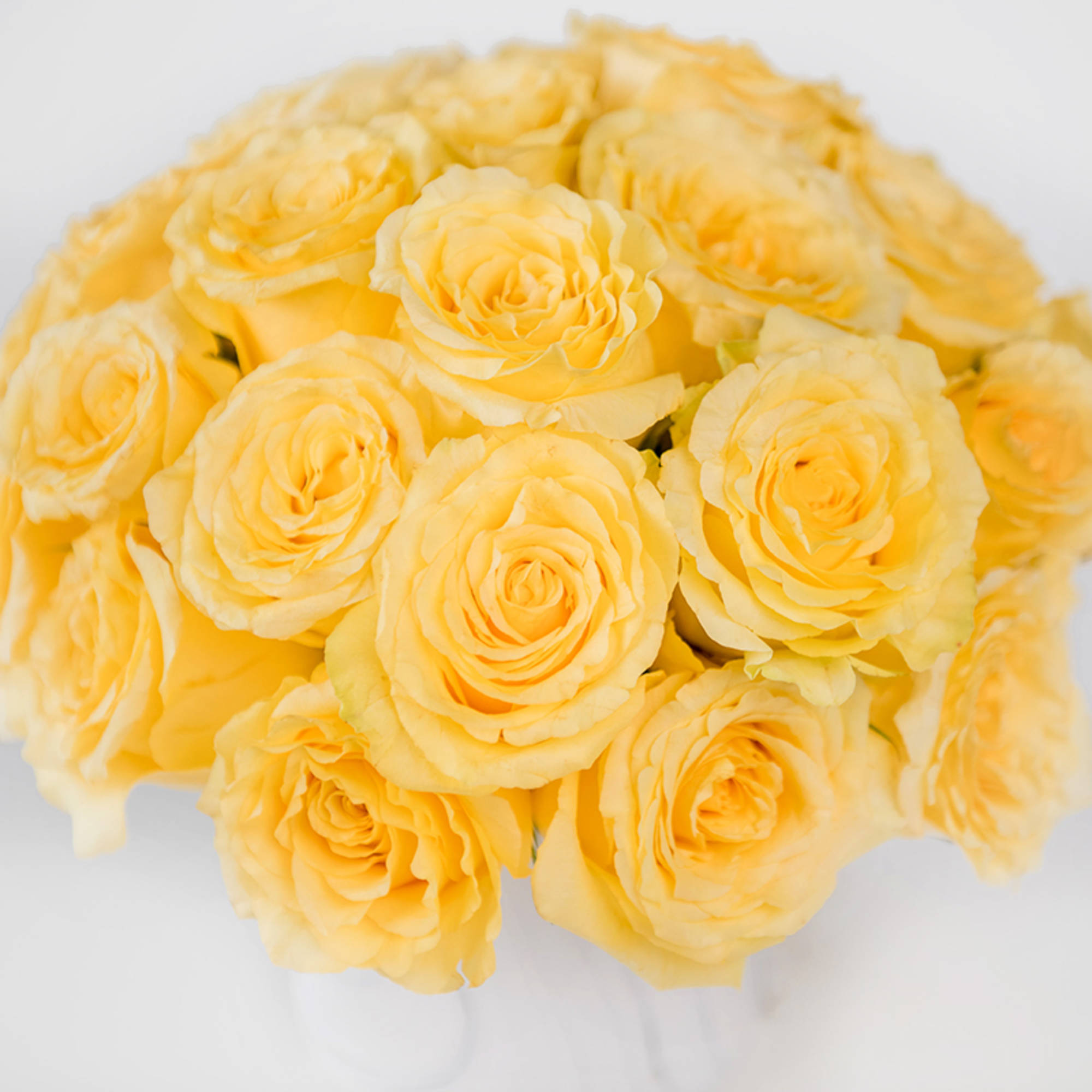 Brighten any moment with the radiant beauty of our Rose Glam Collection