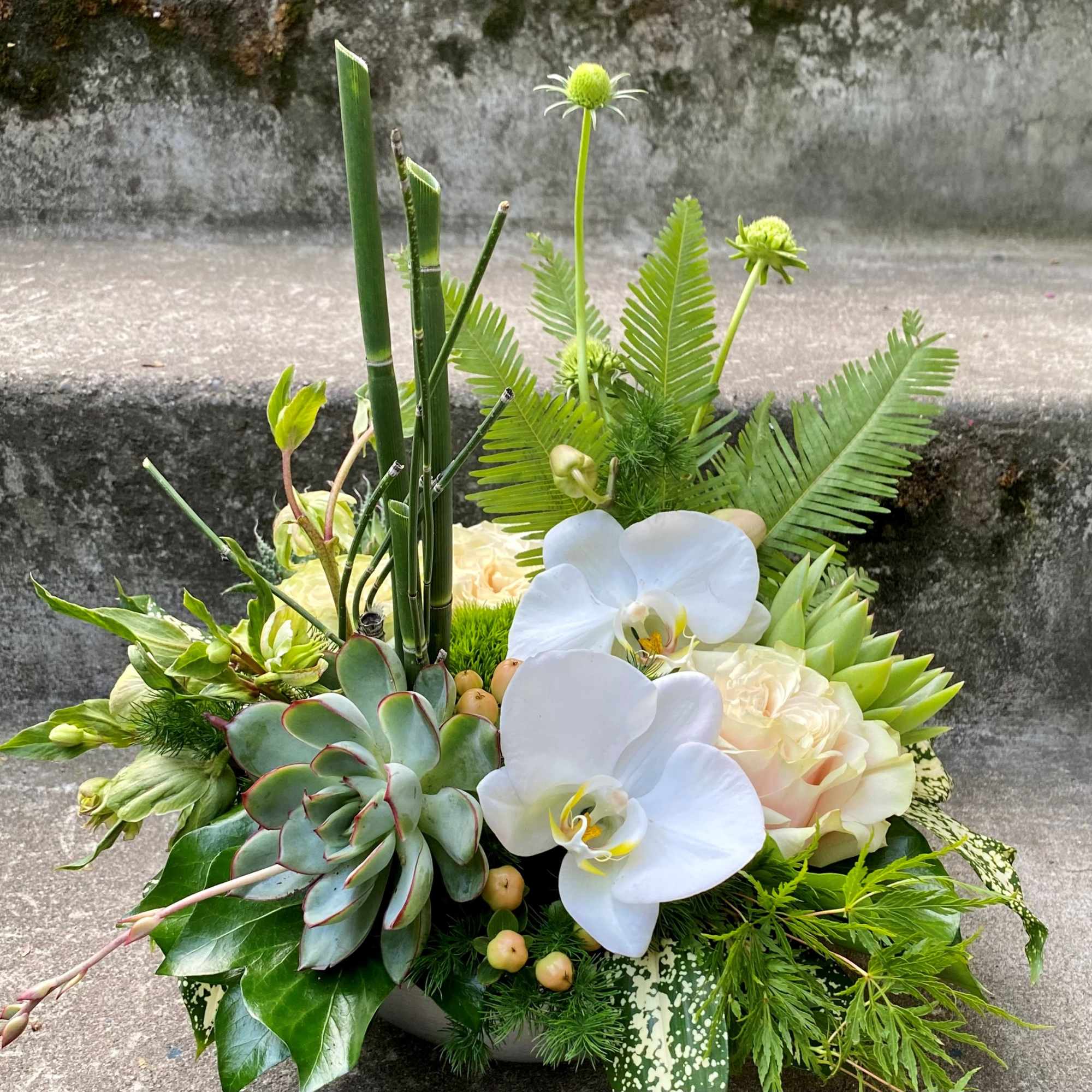 Our award-winning Texture Collection is a feast for the eyes, revealing another