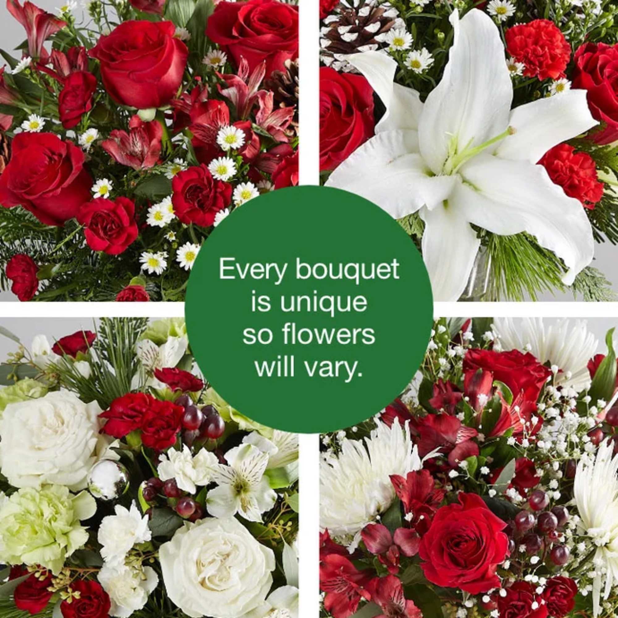 Looking for a truly original way to delivery joy this Christmas? We’ve Looking for a truly original way to delivery joy this Christmas? We’ve