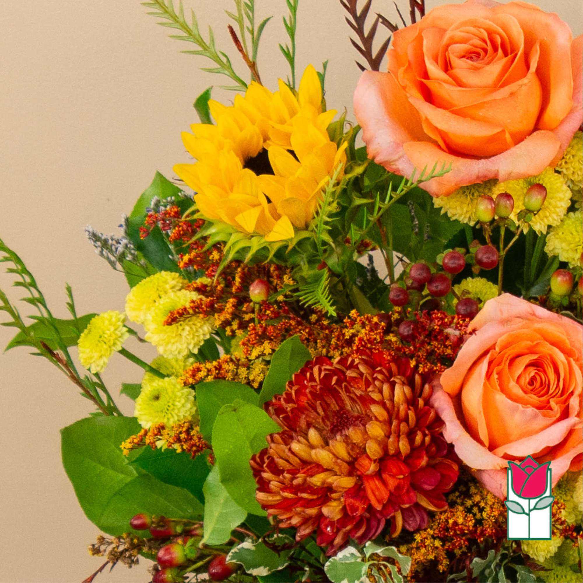 Get ready to embrace the cozy charm of fall with our Beretania