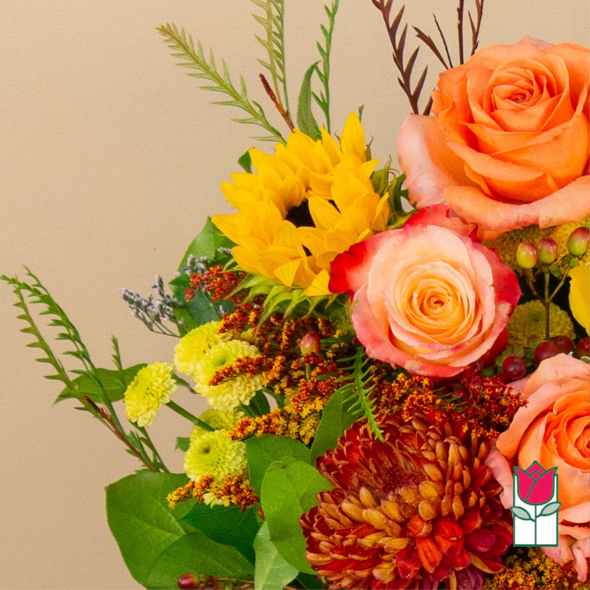 Get ready to embrace the cozy charm of fall with our Beretania