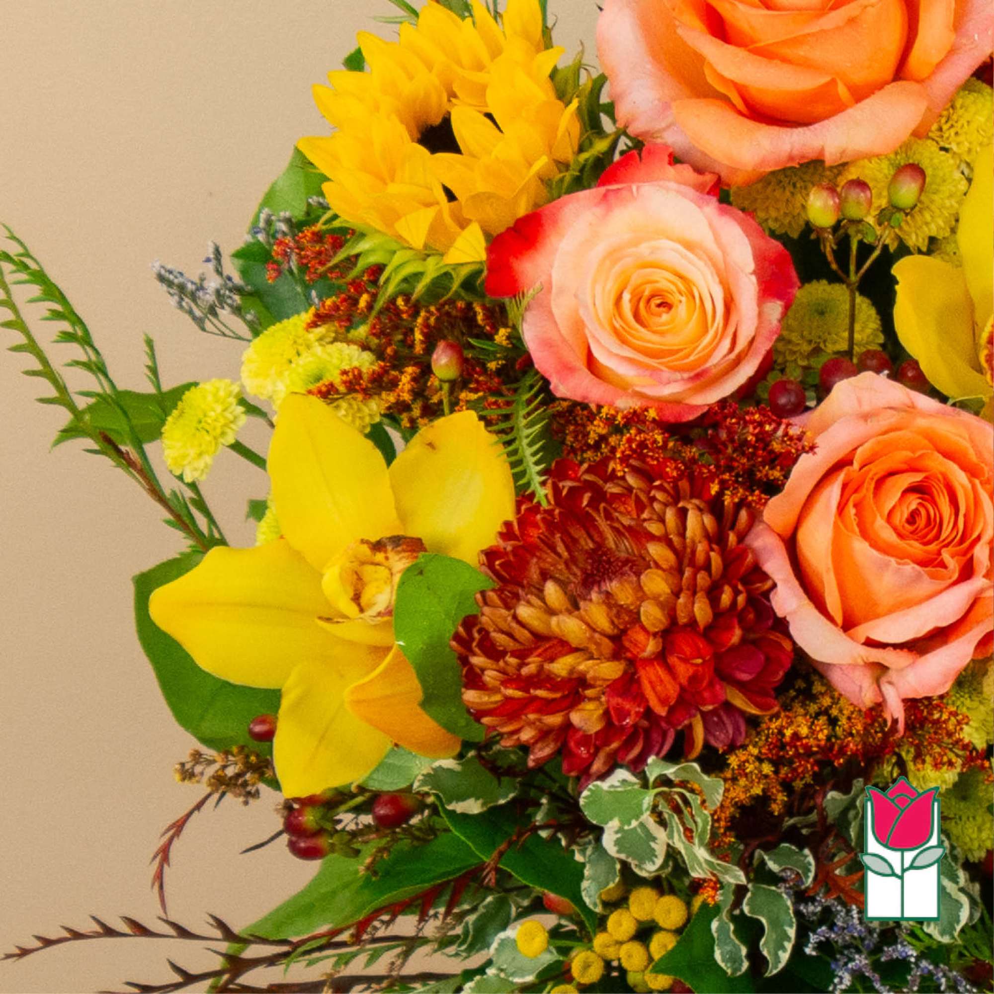 Get ready to embrace the cozy charm of fall with our Beretania