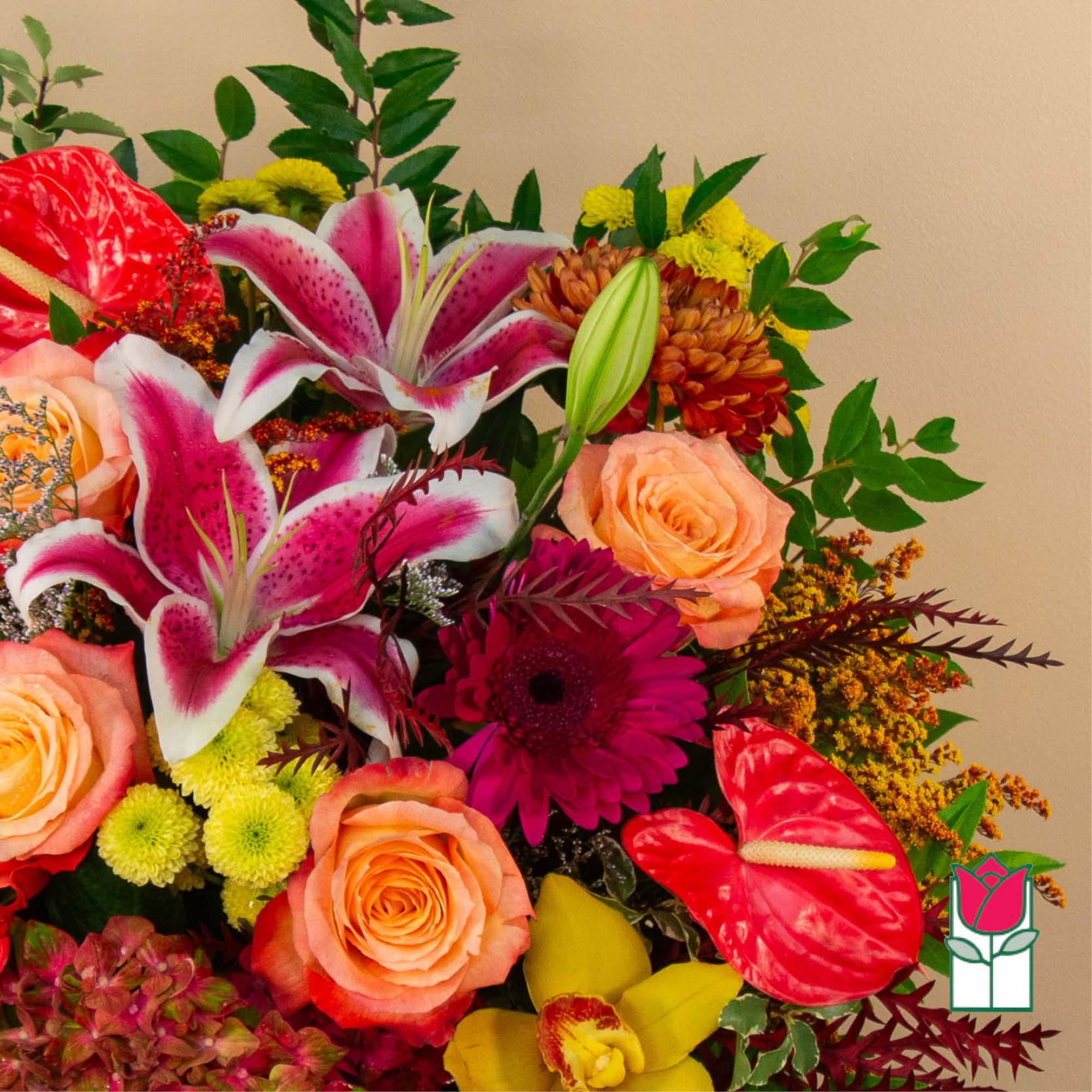 Get ready to embrace the cozy charm of fall with our Beretania