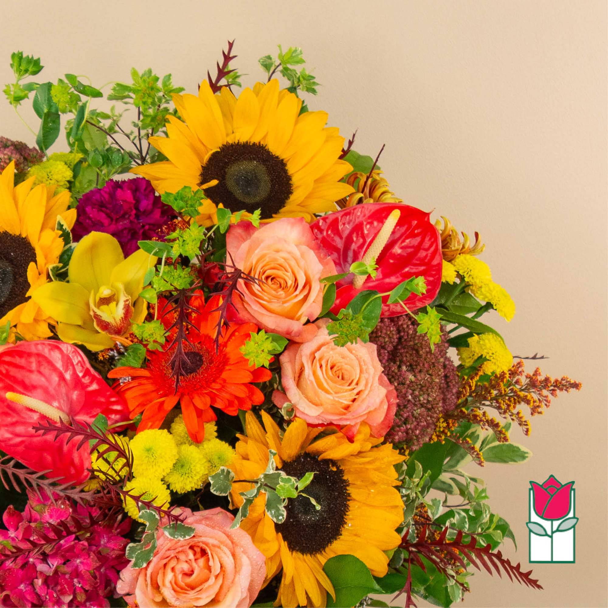 Get ready to embrace the cozy charm of fall with our Beretania