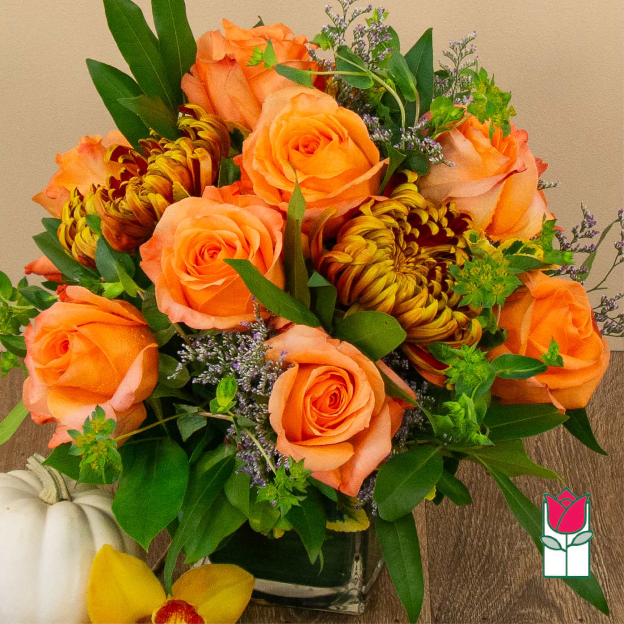 Get ready to embrace the cozy charm of fall with our Beretania