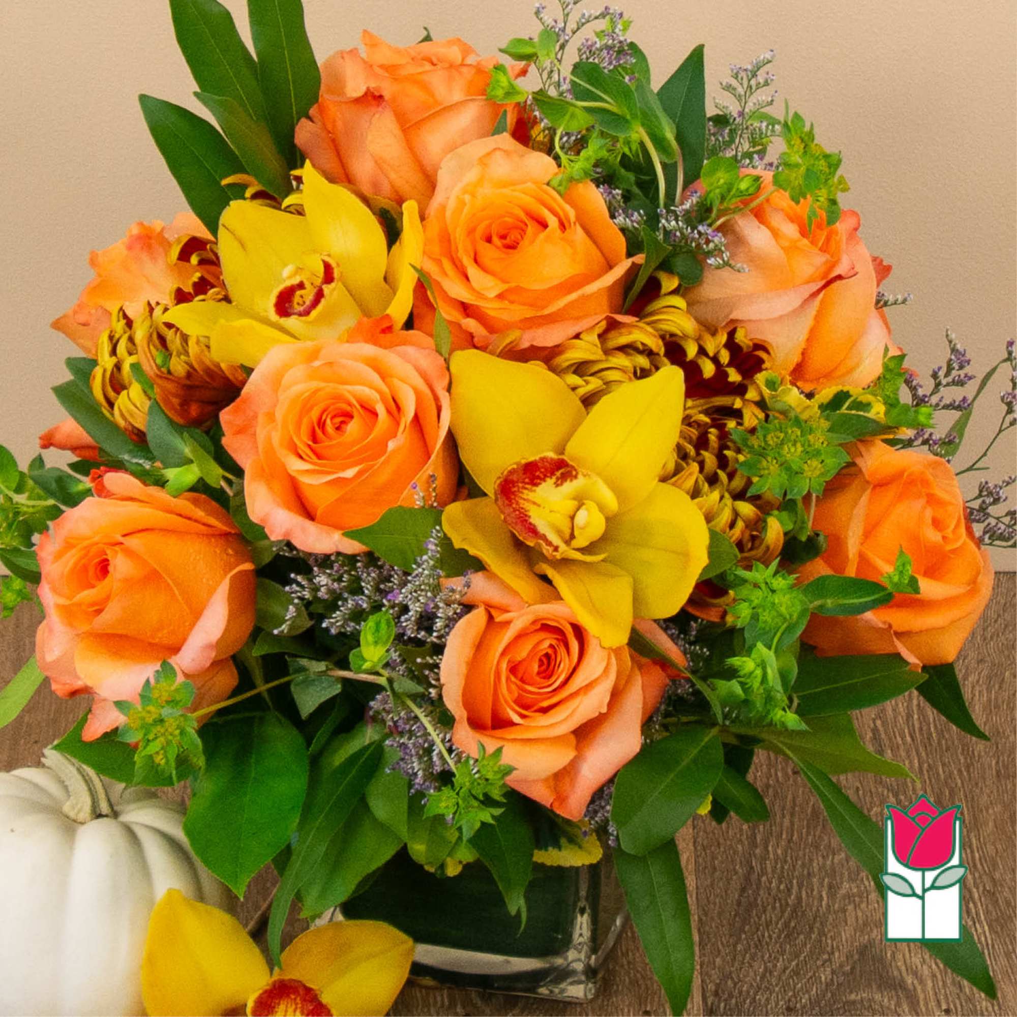 Get ready to embrace the cozy charm of fall with our Beretania